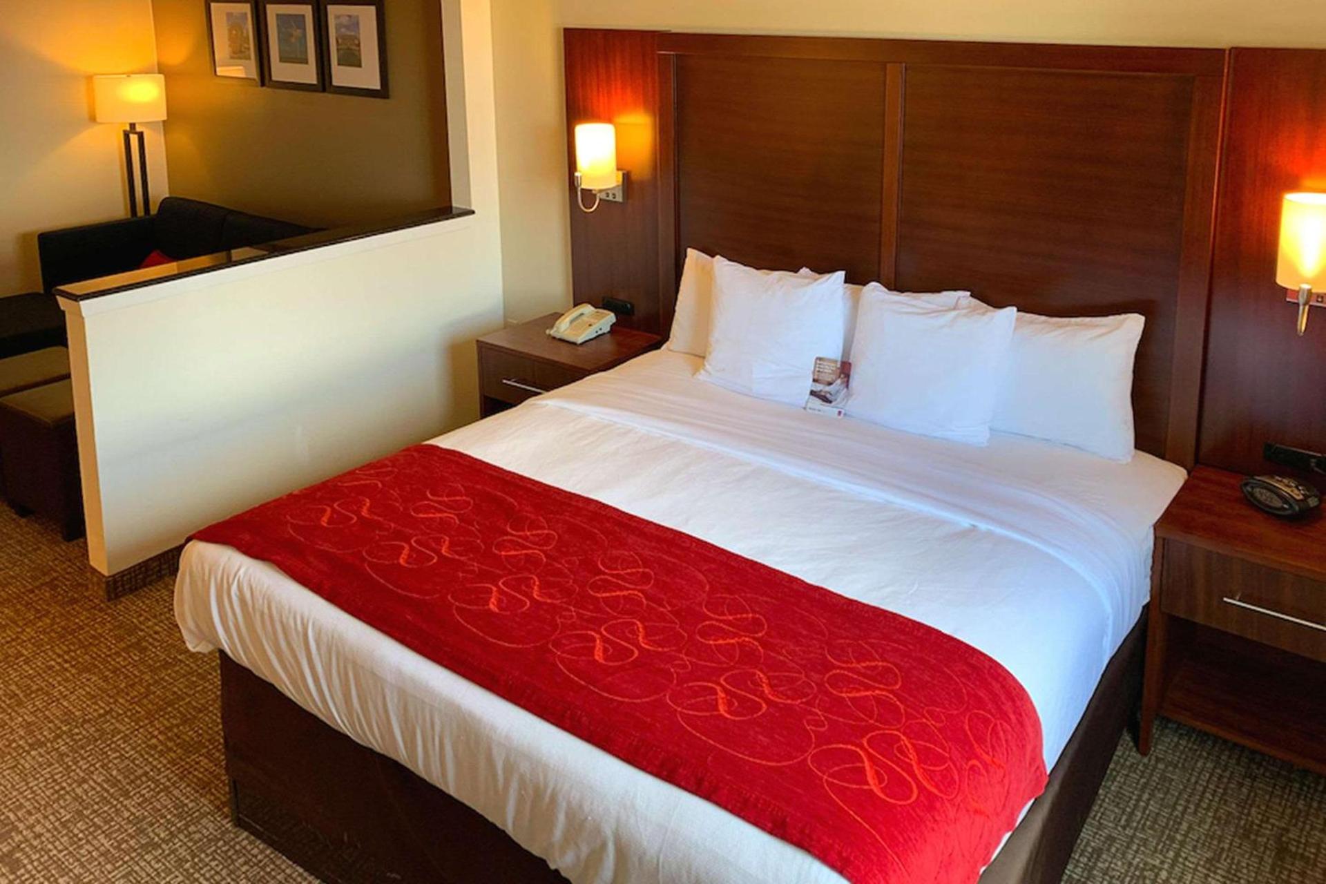 Comfort Suites Texas Ave photo 3