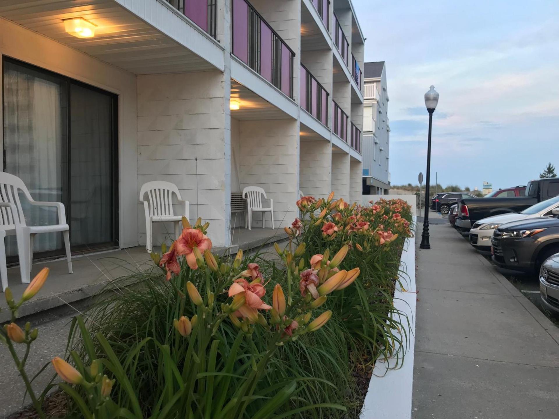 Simple Life Motel photo 3