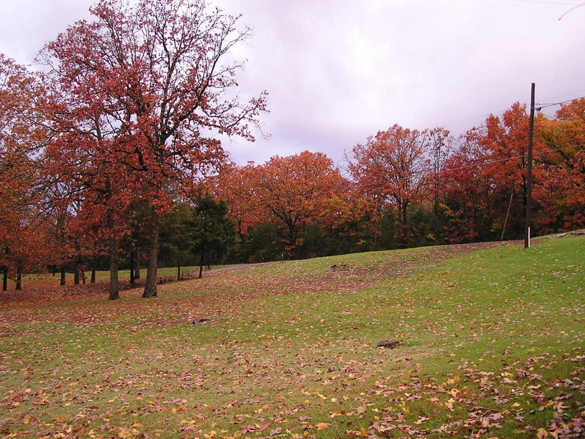 Mill Creek Resort on Table Rock Lake photo 28
