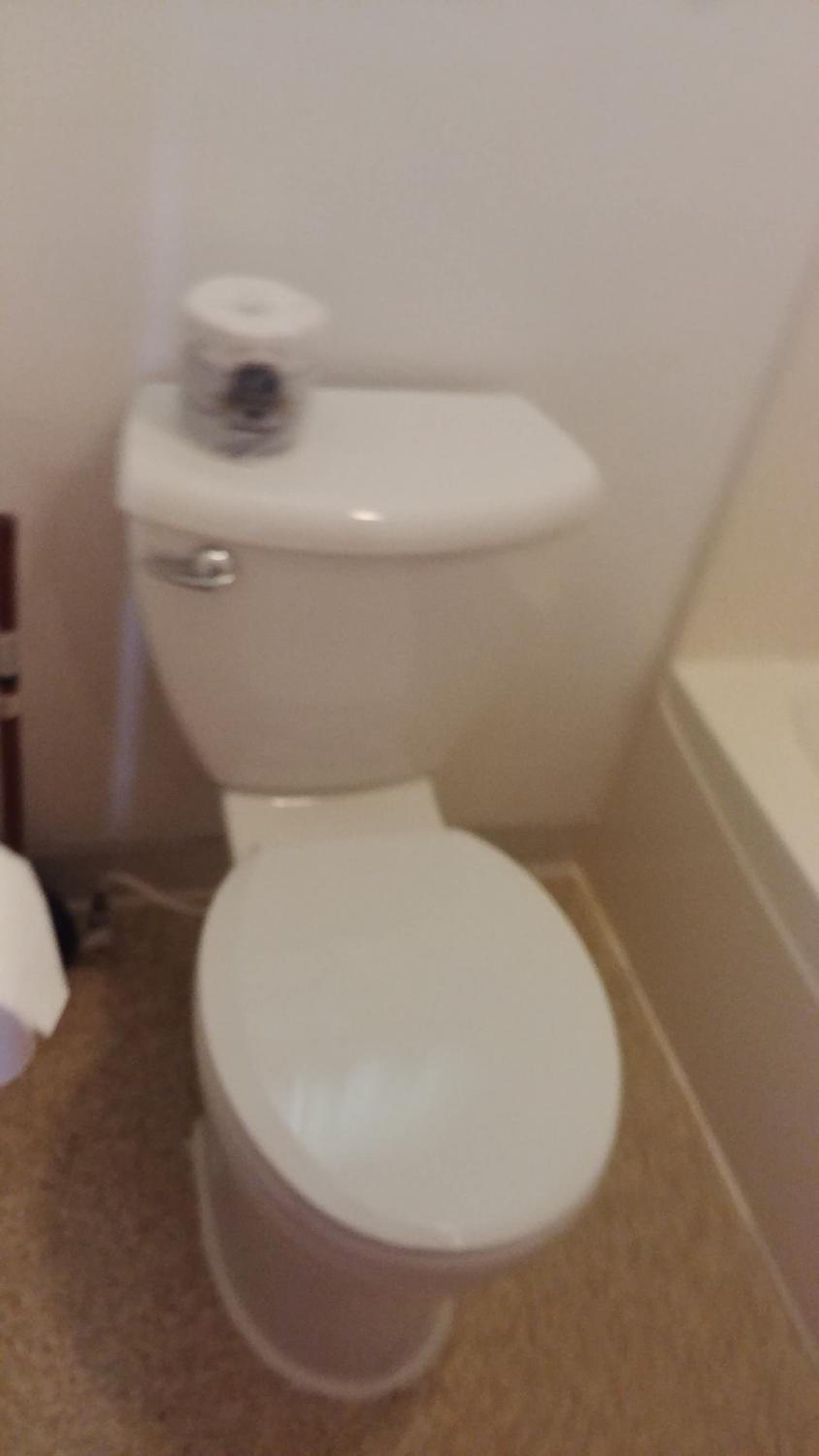 Falls Motel photo 5