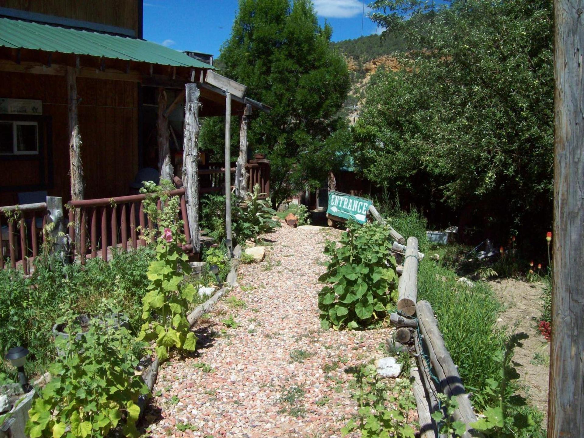 The Wandering Star Inn photo 3
