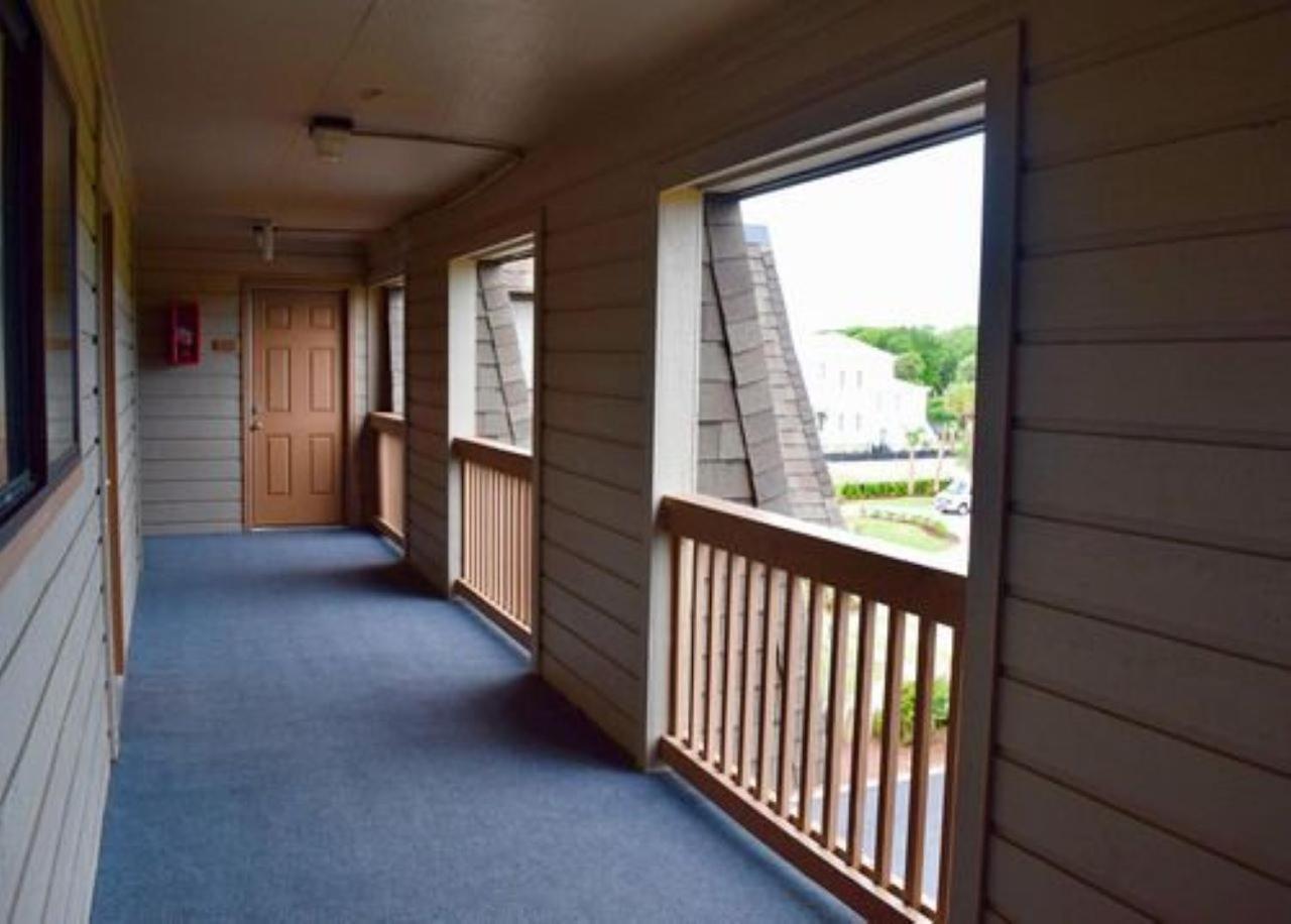 Ocean Forest Colony photo 22