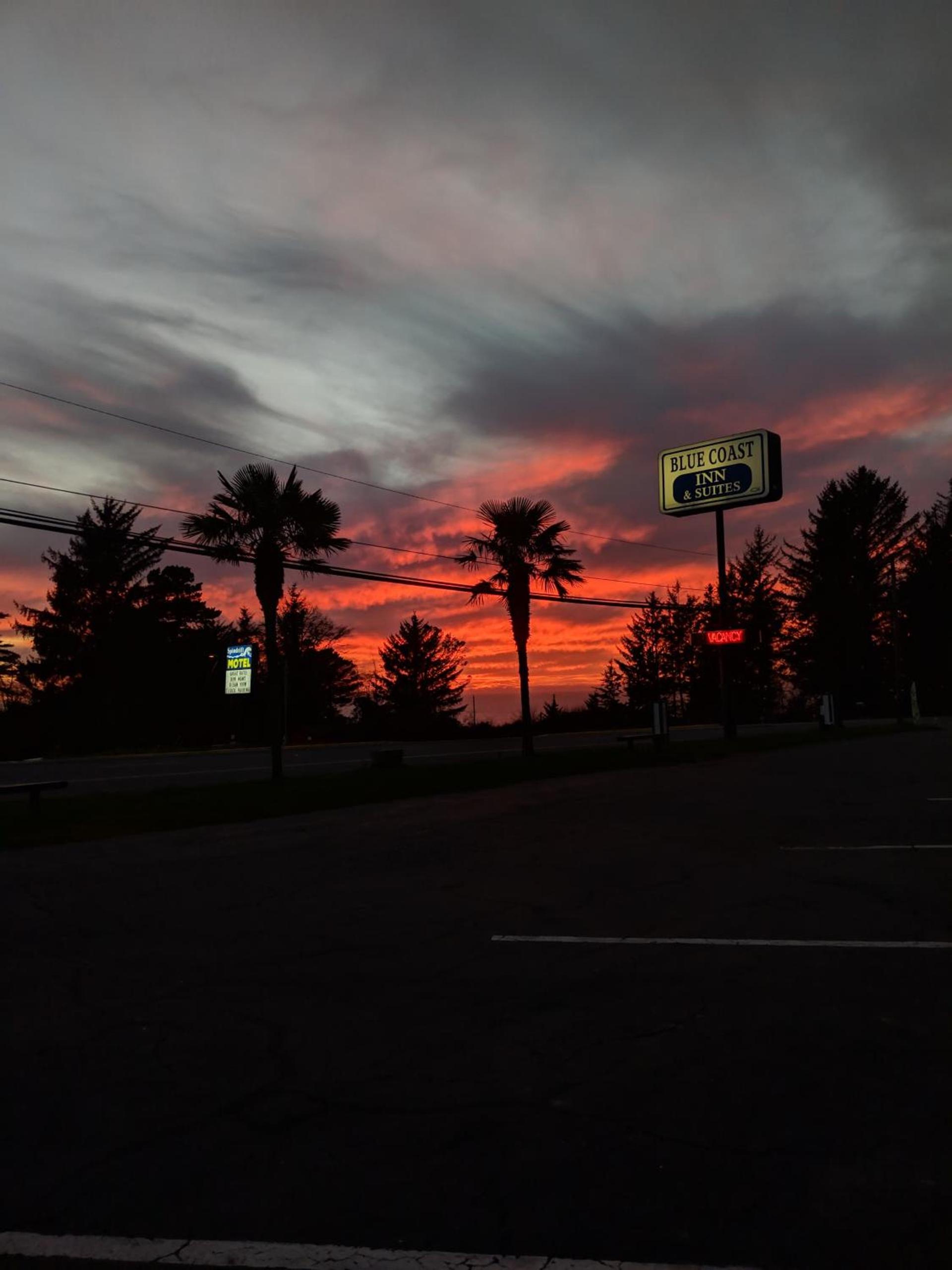 Blue Coast Inn & Suites photo 31