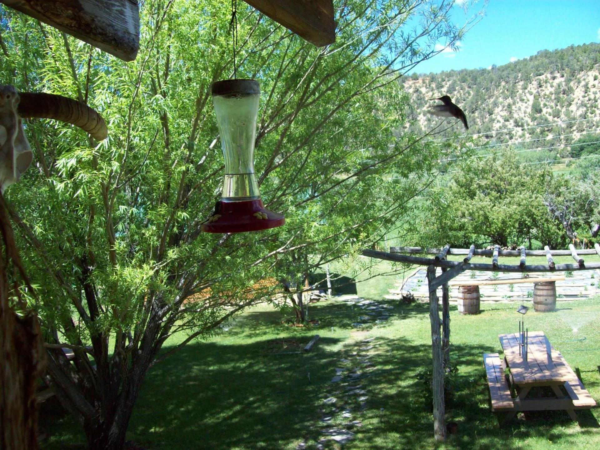 The Wandering Star Inn photo 7