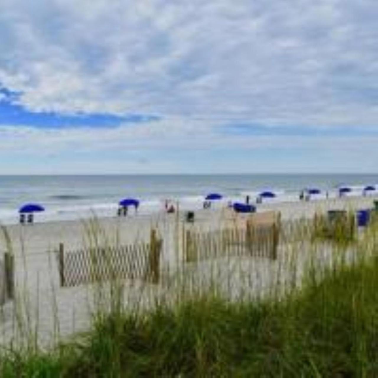 Ocean Forest Colony photo 21