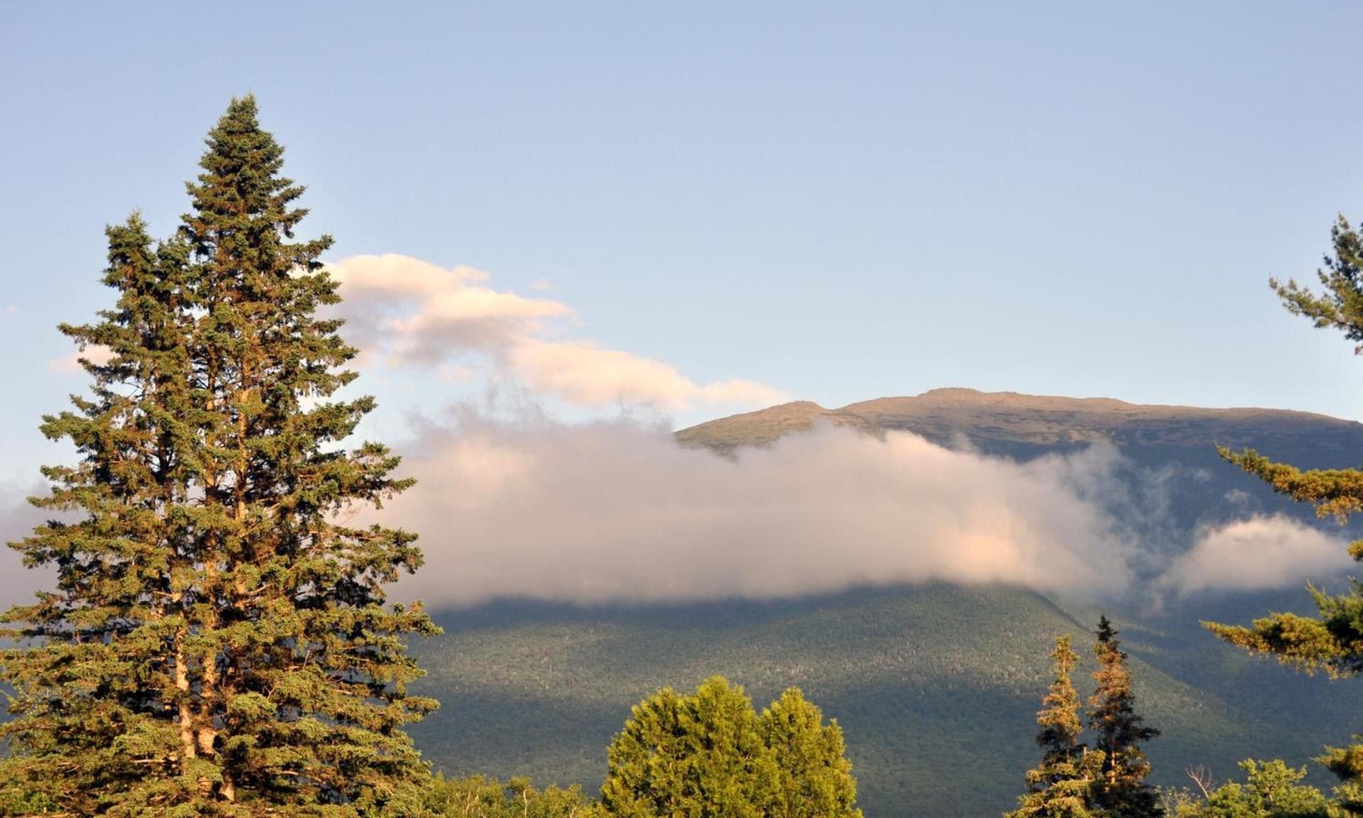 Mount Jefferson View photo 87