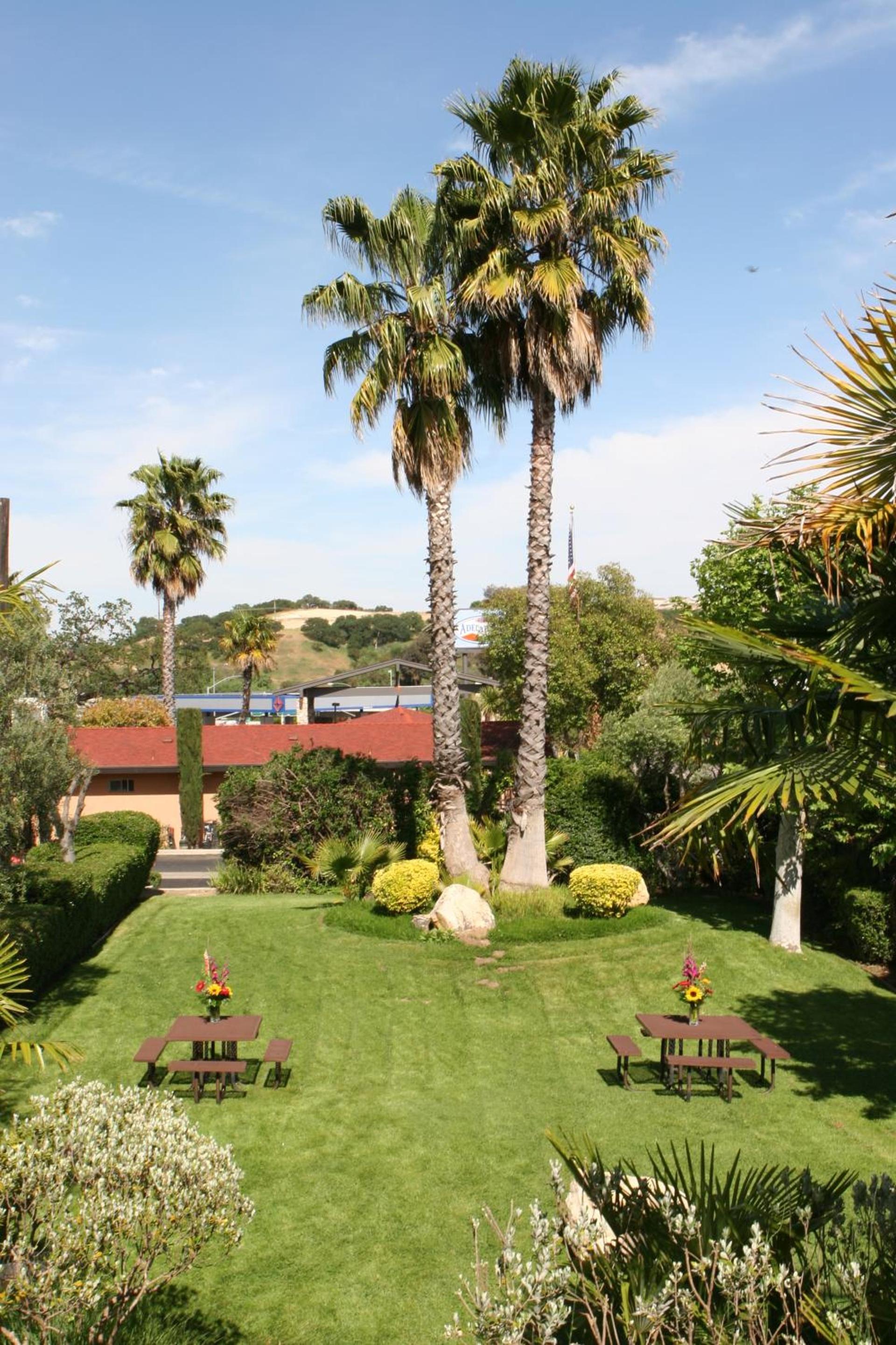 Adelaide Inn photo 11