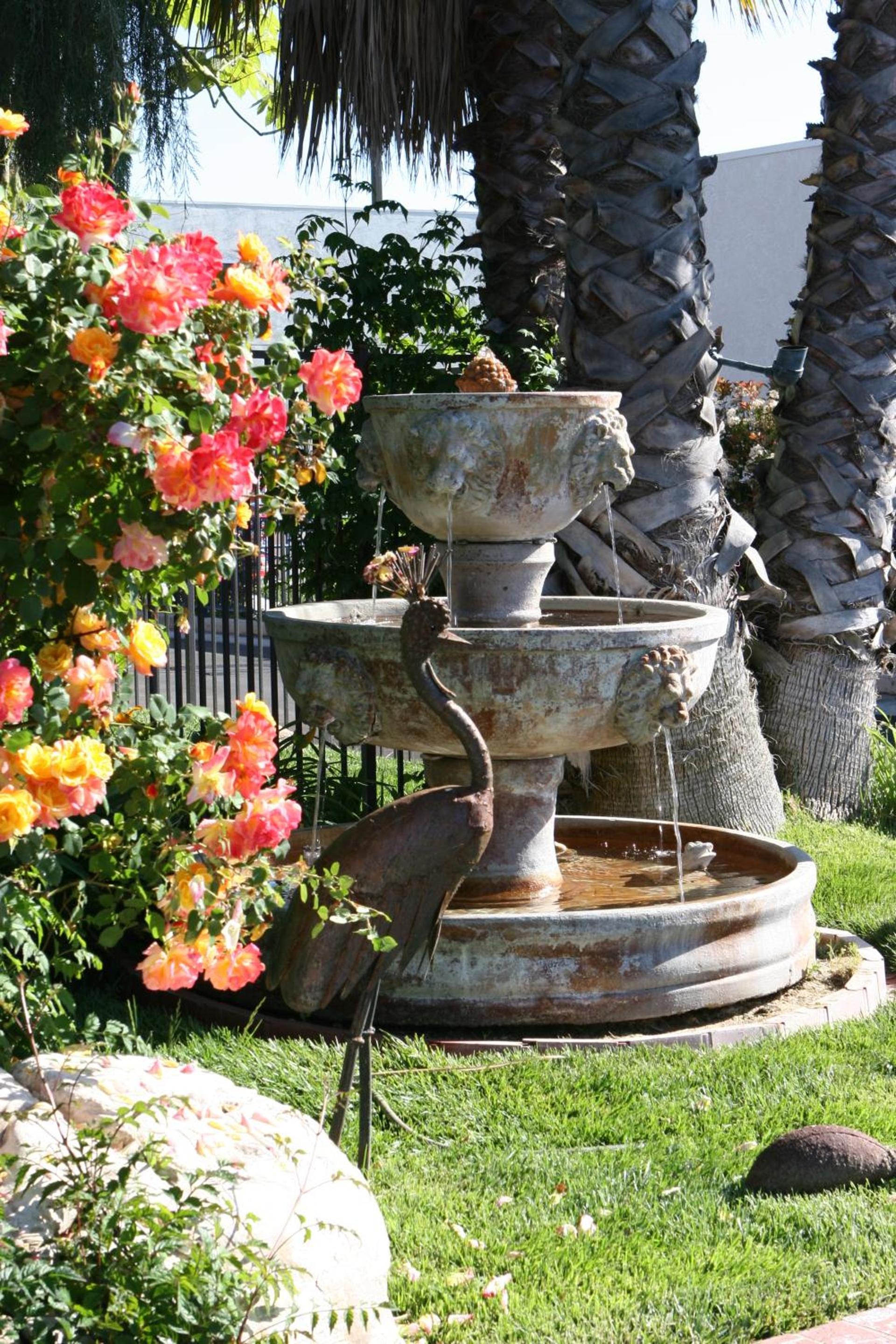 Adelaide Inn photo 9