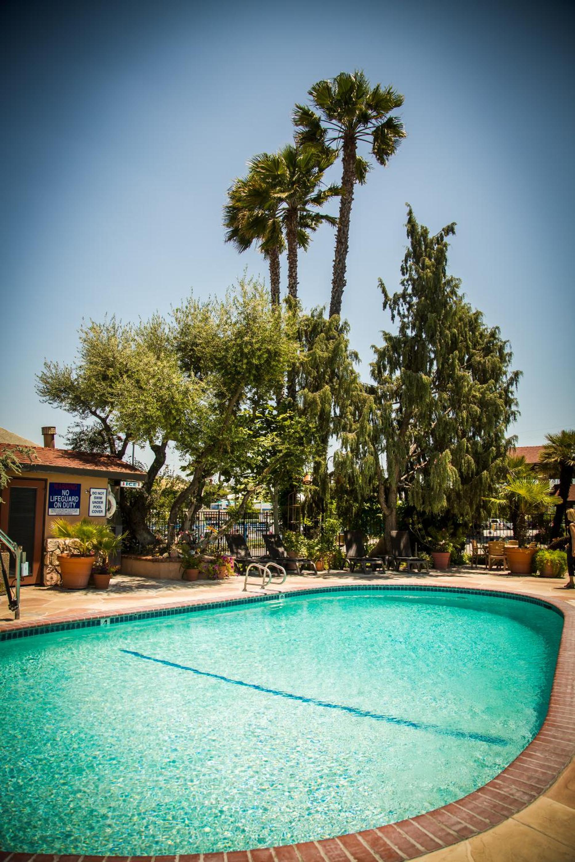 Adelaide Inn photo 37