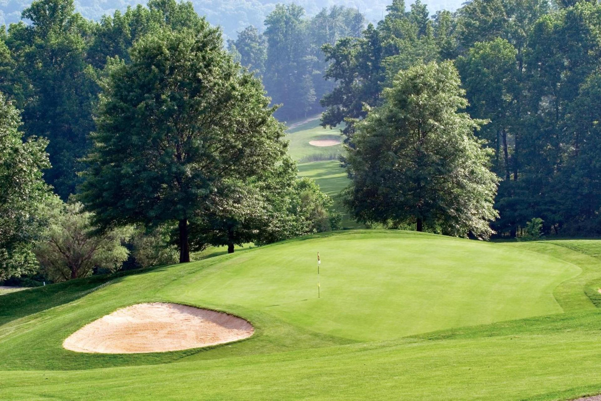 Lakeview Golf Resort photo 25
