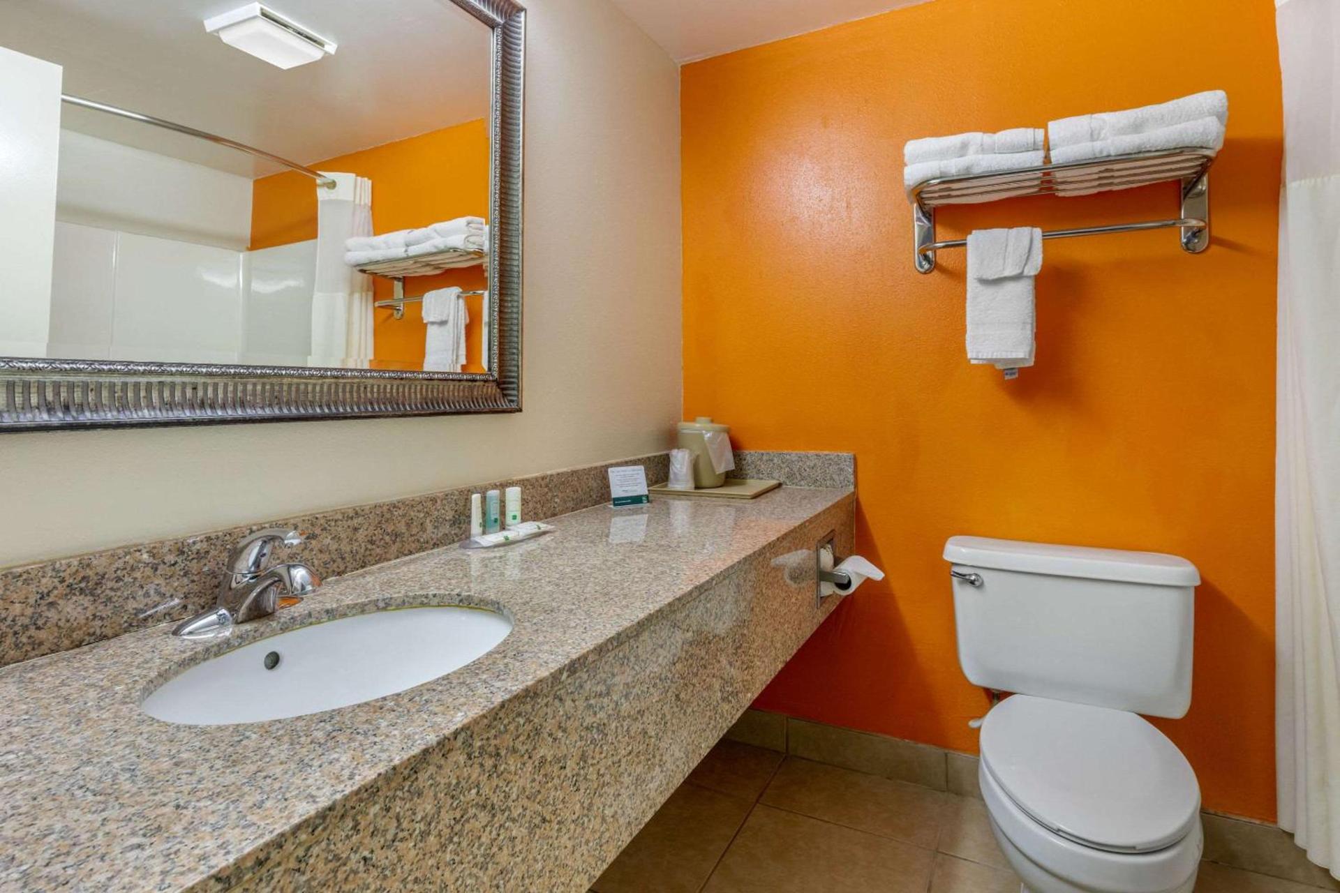 Quality Inn Auburn Campus Area I-85 photo 5