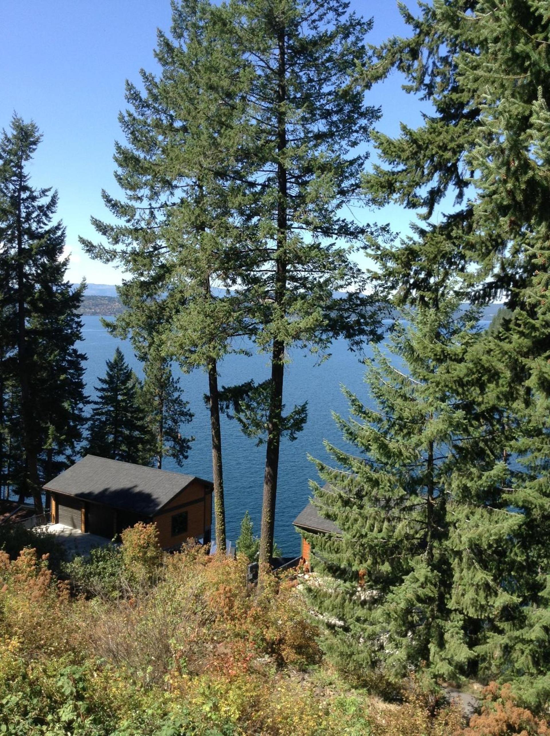 Bennett Bay Inn photo 10