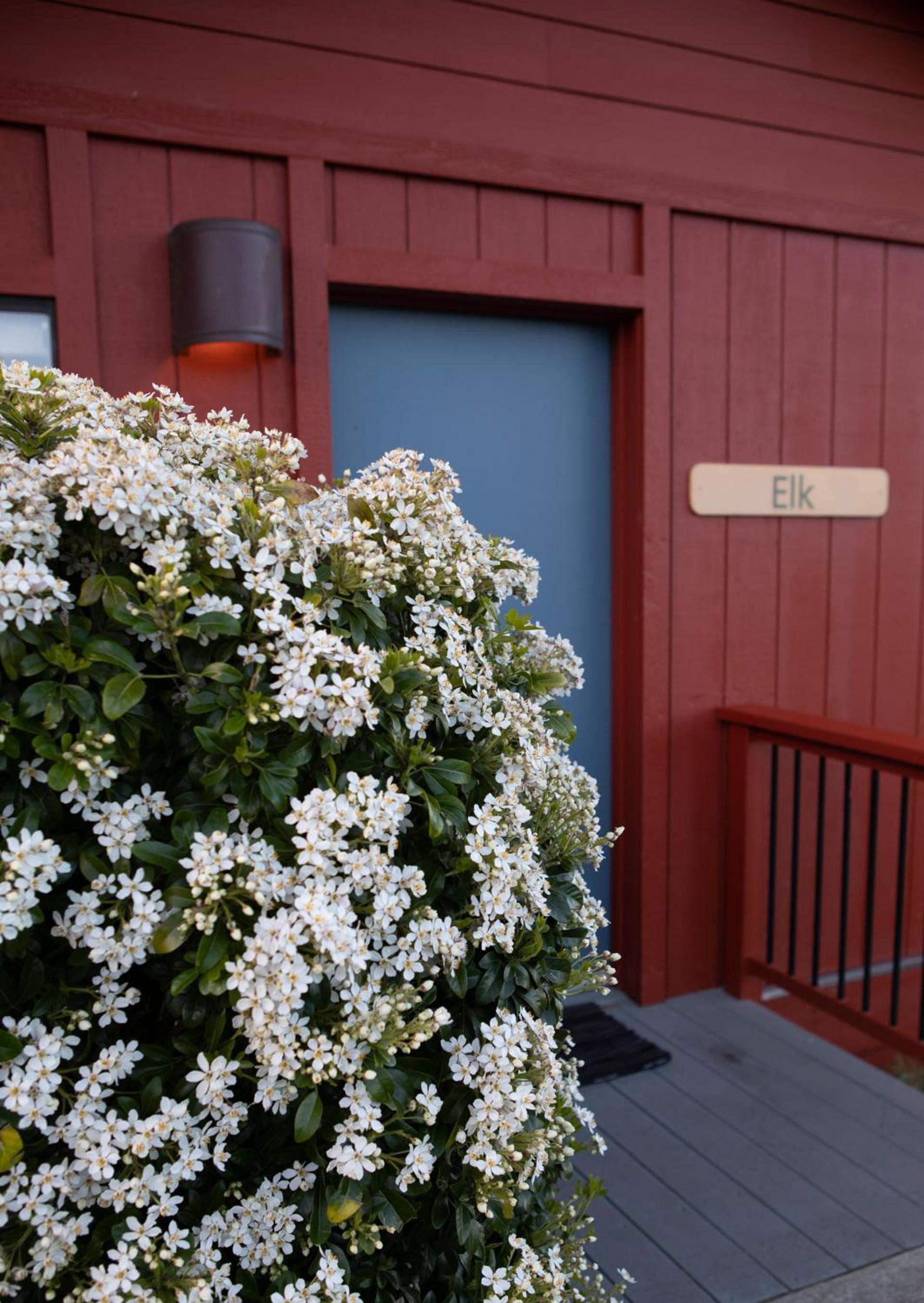 Cottages at Little River Cove photo 11