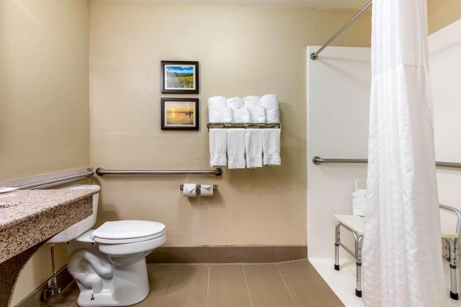 Comfort Inn Lenoir City-Knoxville photo 35