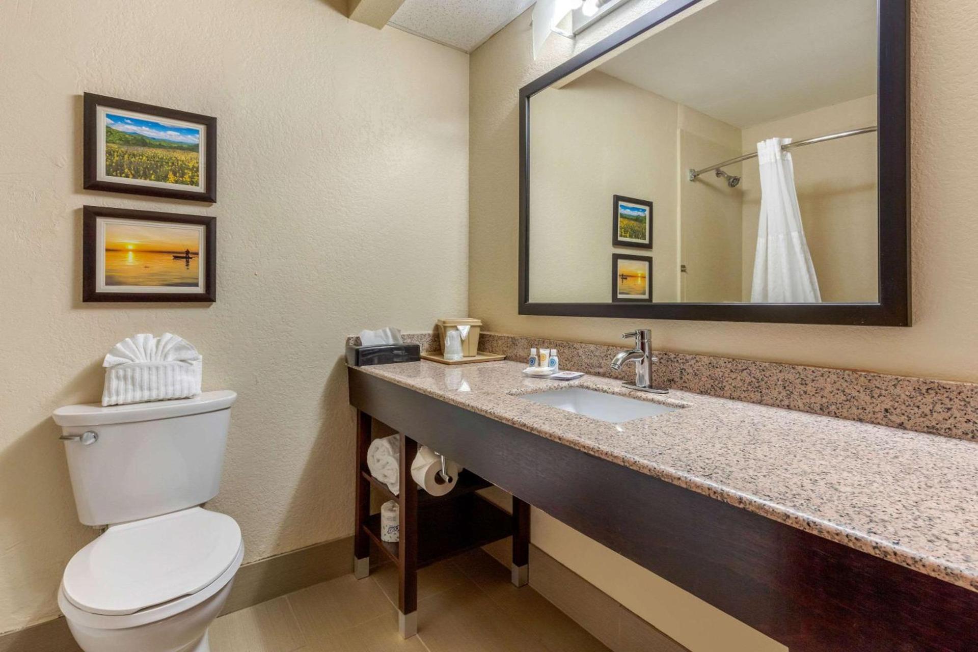 Comfort Inn Lenoir City-Knoxville photo 37