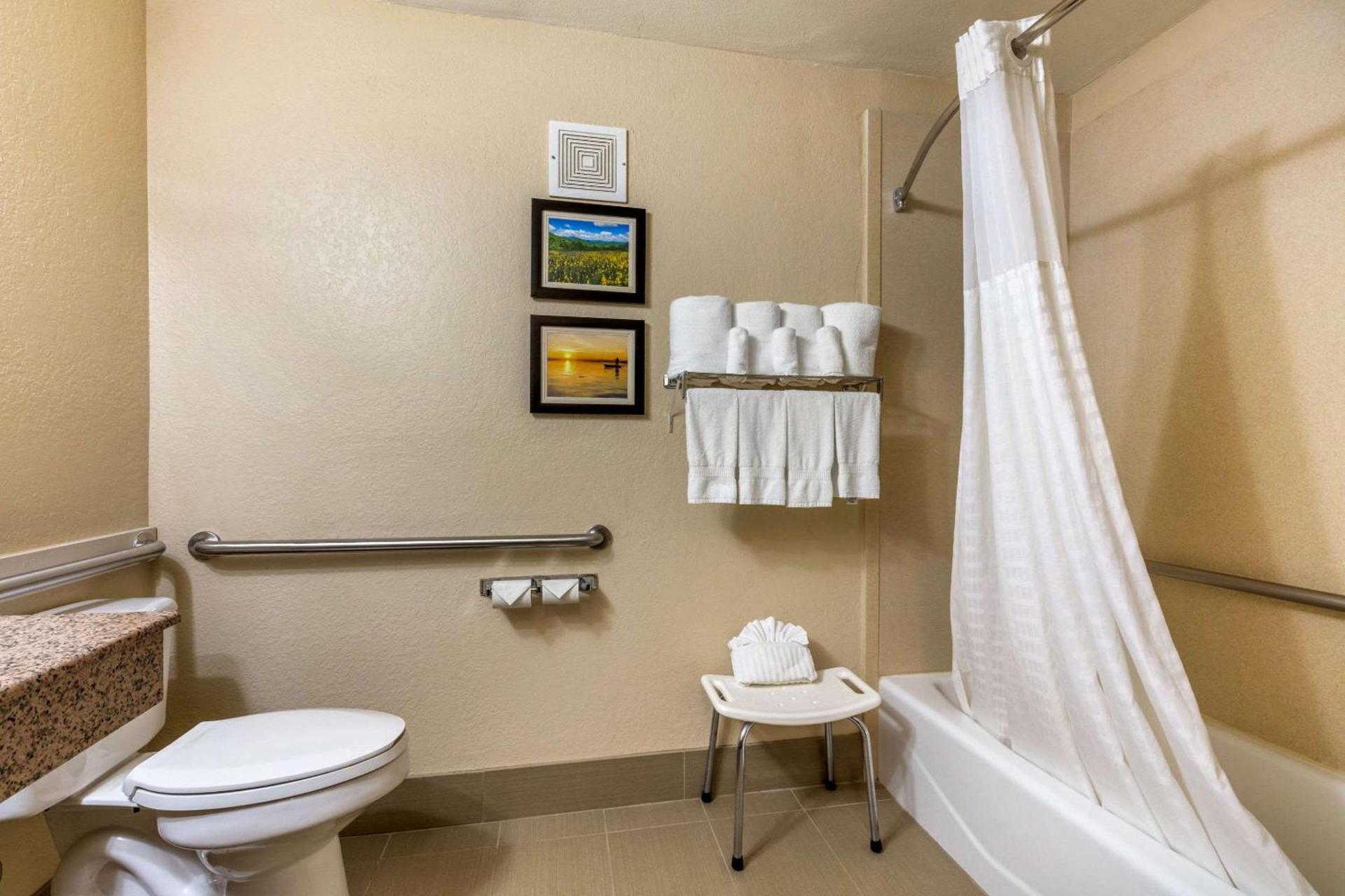 Comfort Inn Lenoir City-Knoxville photo 34