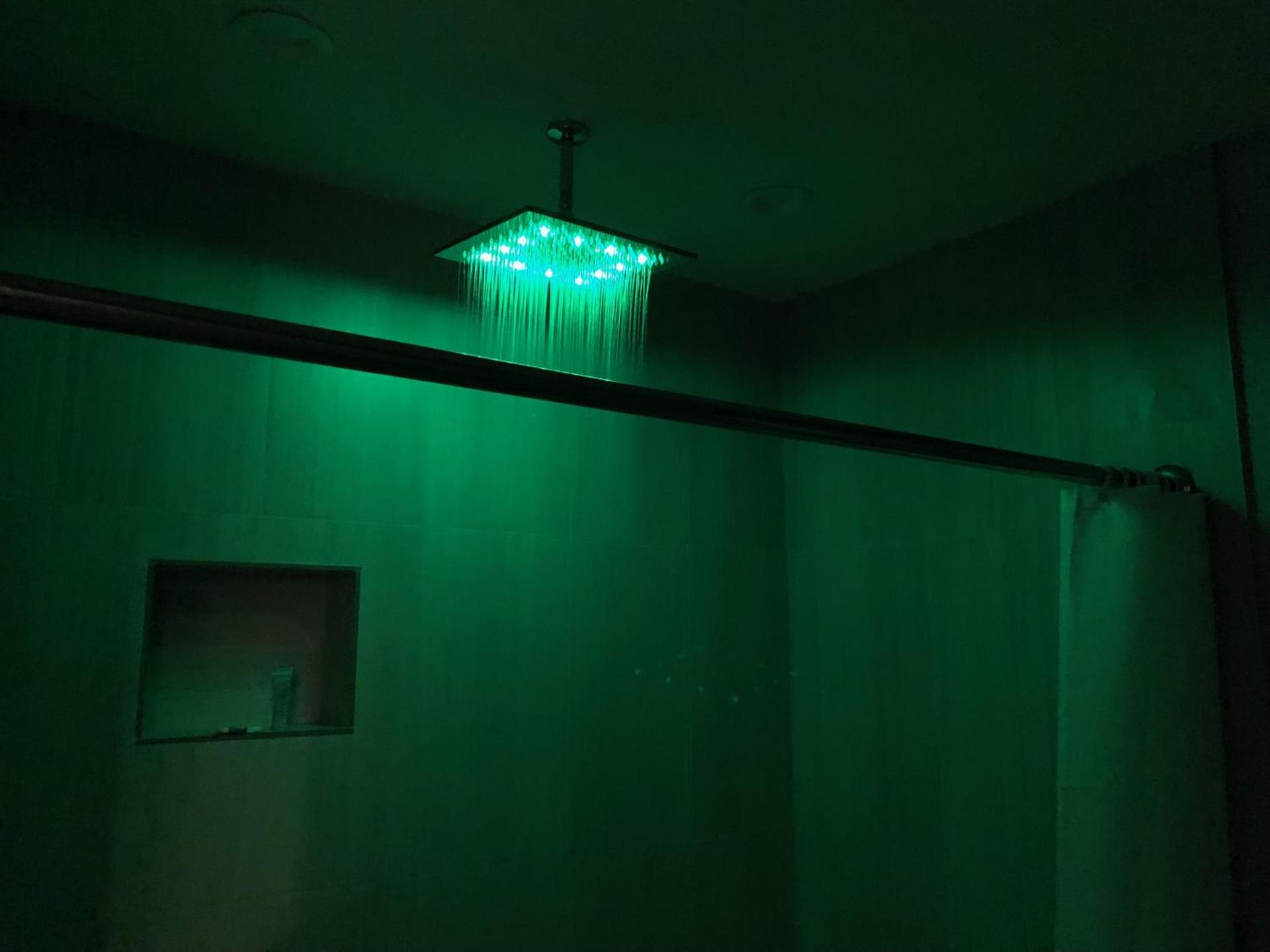 Crystal Inn Downtown photo 7