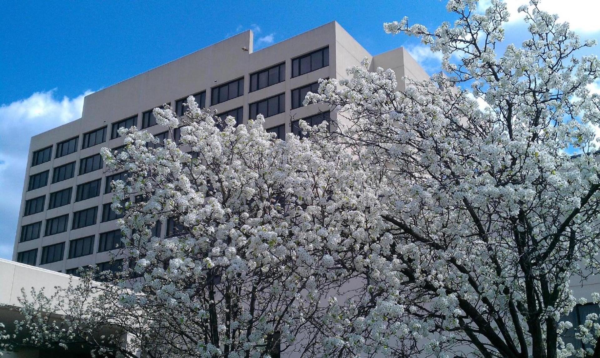 Capitol Plaza Hotel Jefferson City photo 2