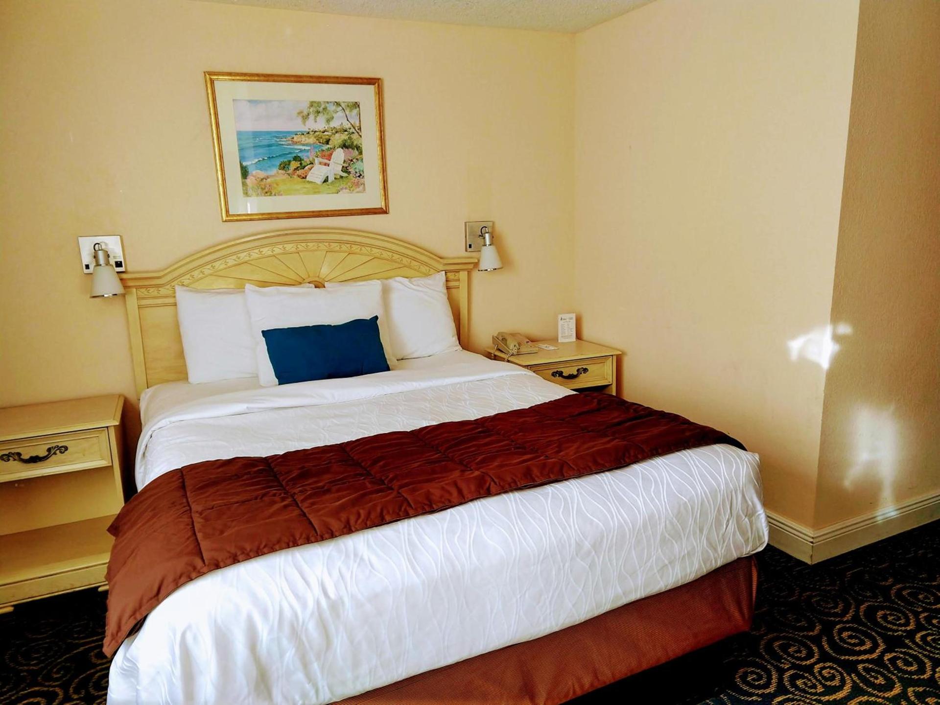 Tiki Resort - Lake George photo 15