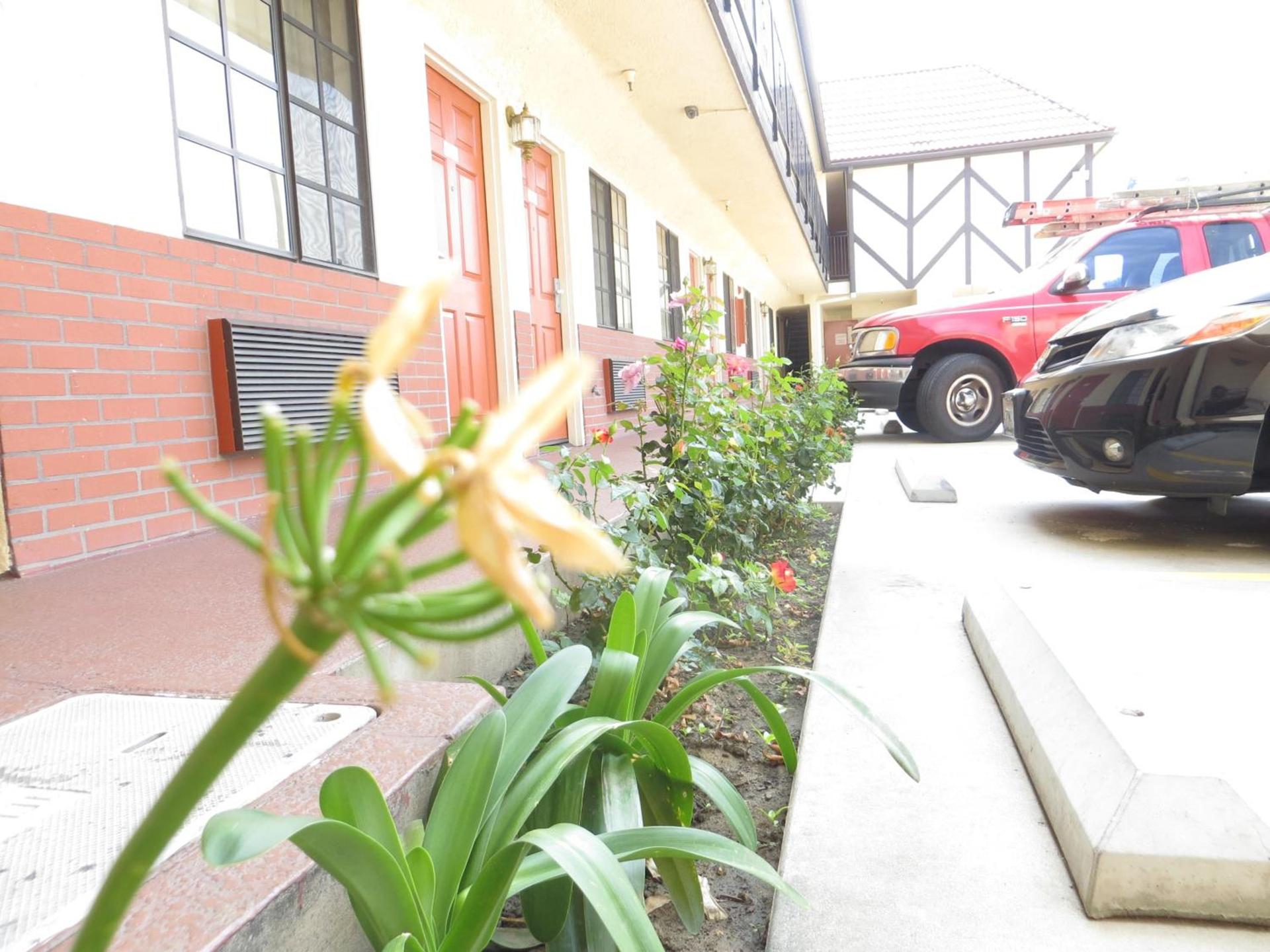 Executive Suites Inn photo 15