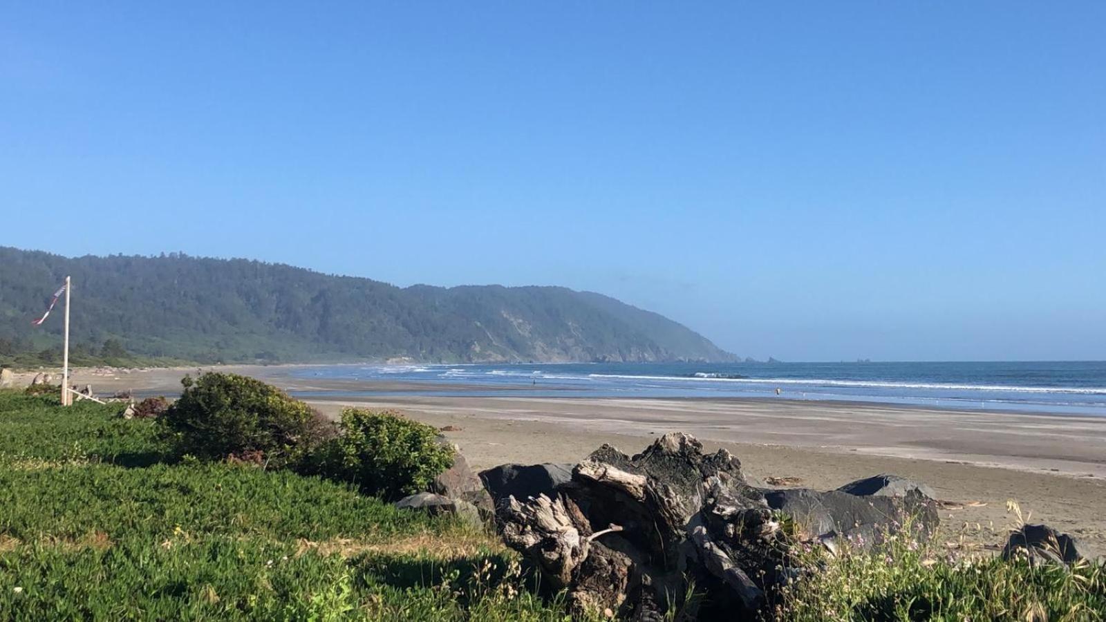 Crescent Beach Motel photo 46