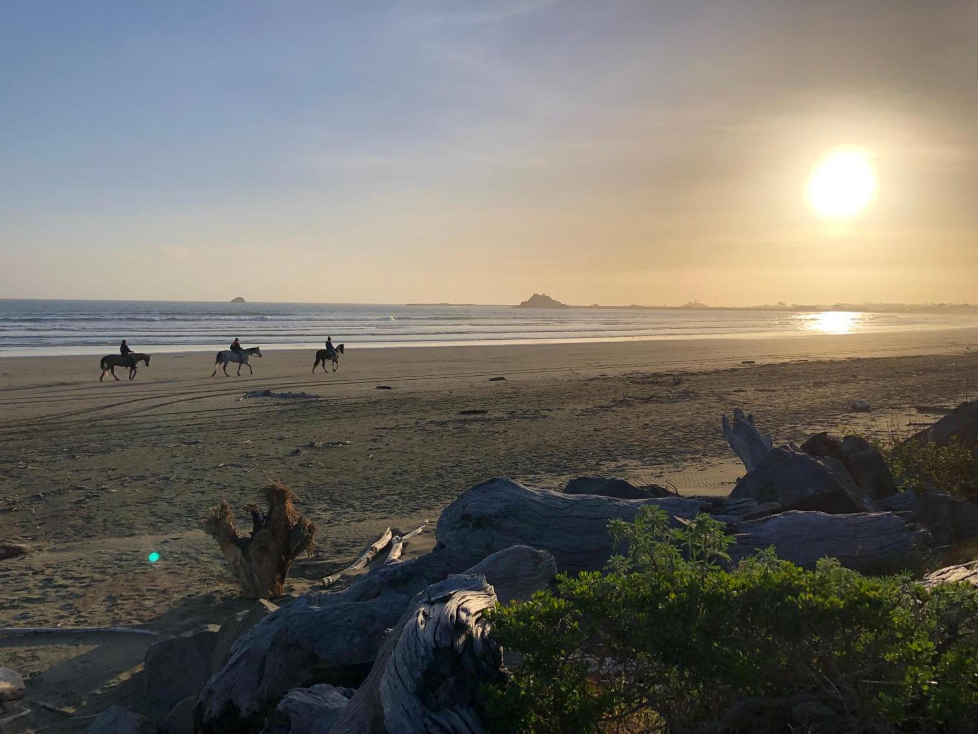 Crescent Beach Motel photo 48