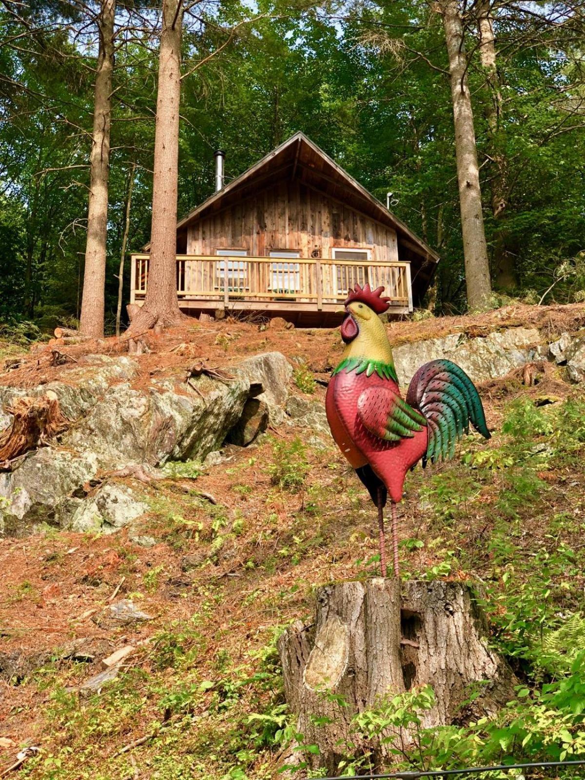 Grunberg Haus Inn & Cabins photo 23