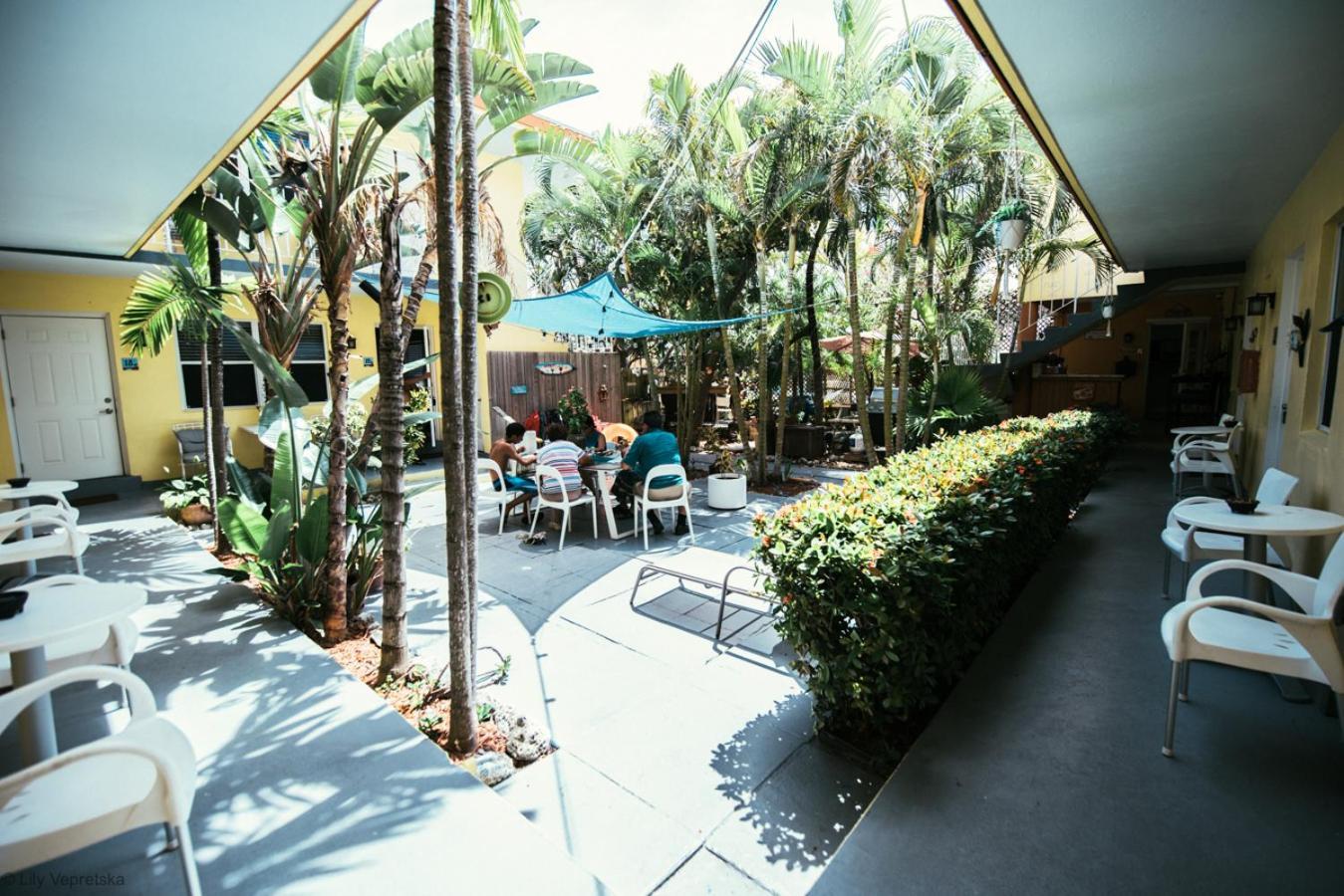Ocean Inn photo 8