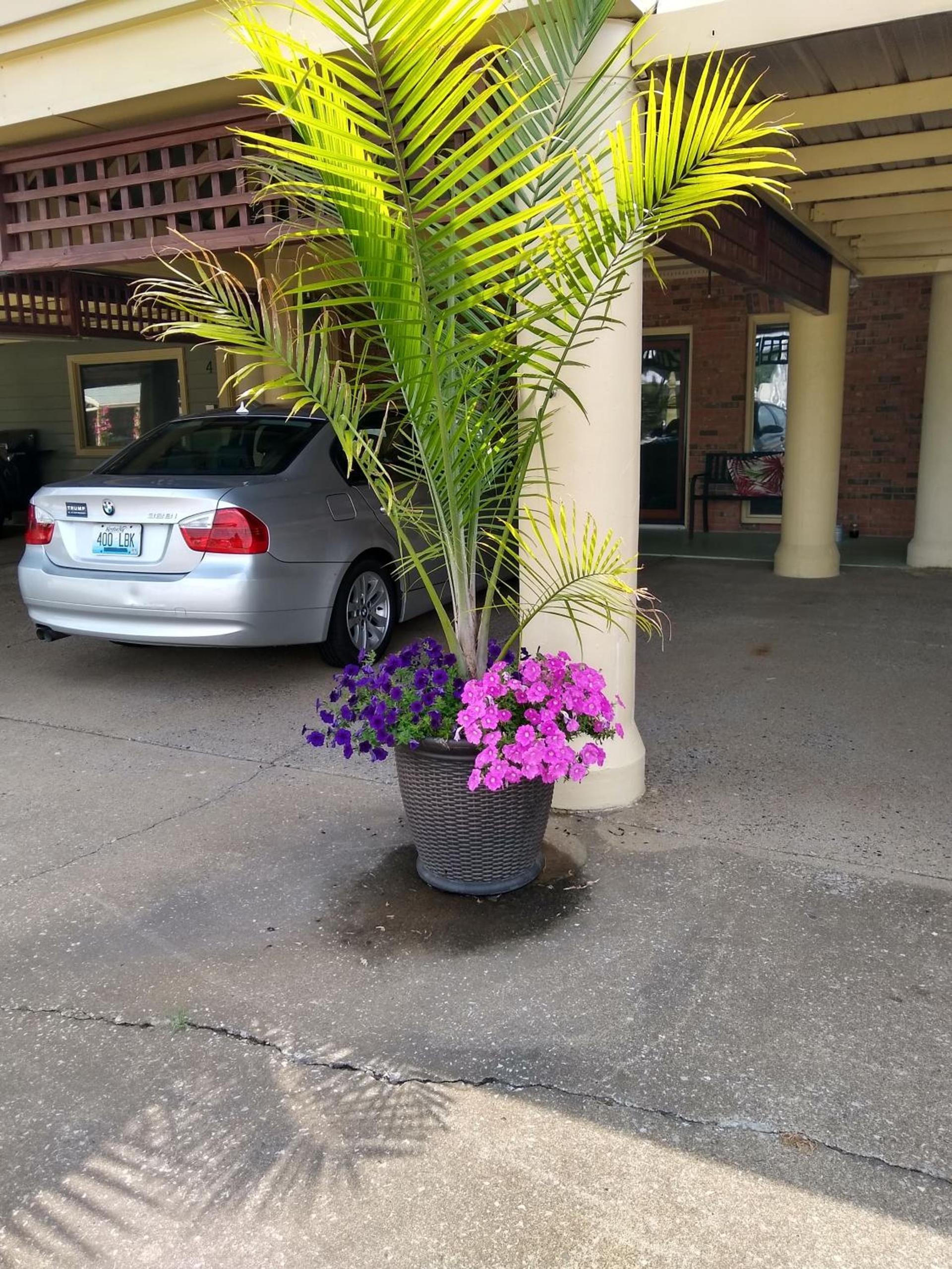Southern Comfort Suites photo 27