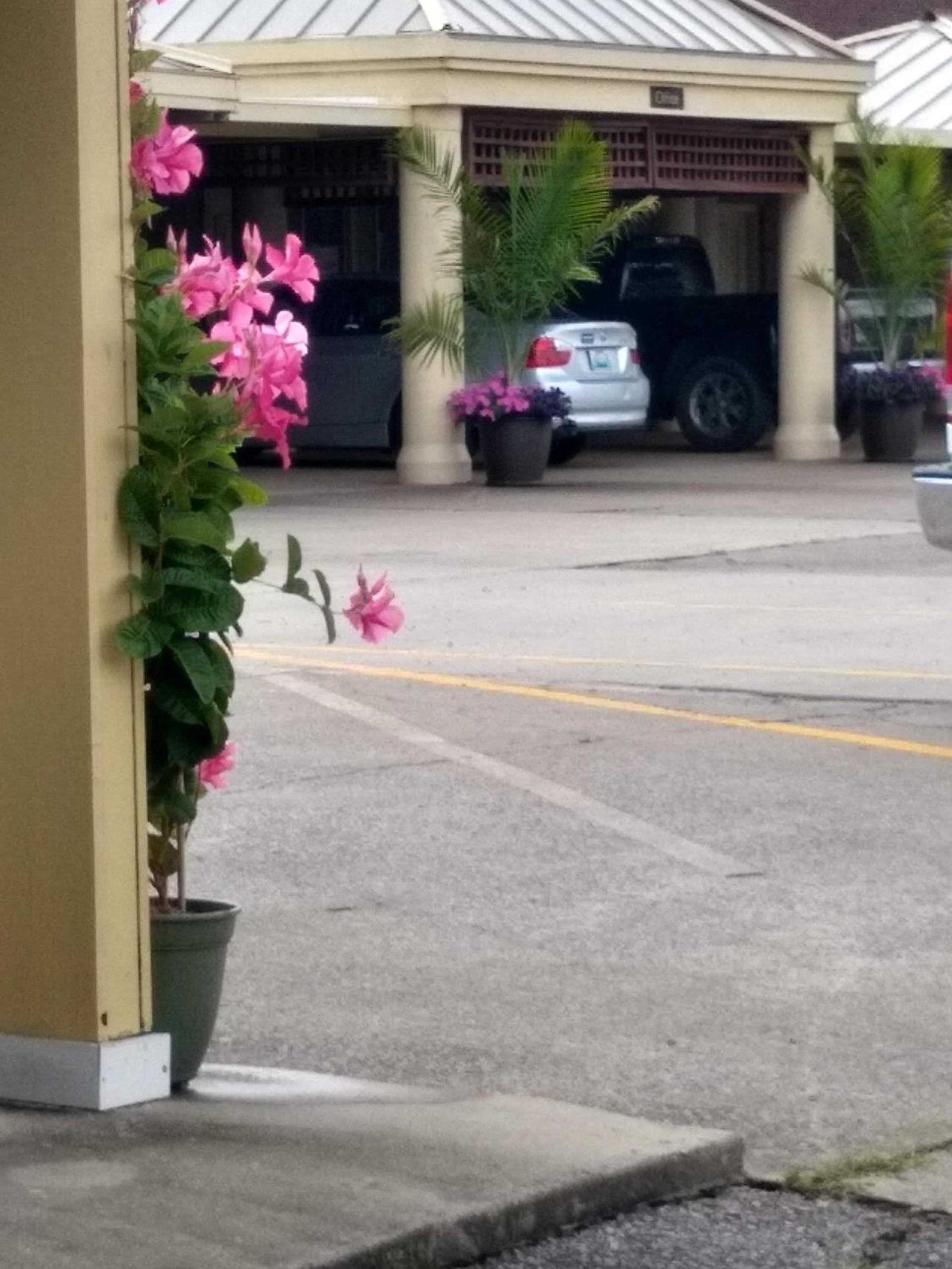 Southern Comfort Suites photo 22
