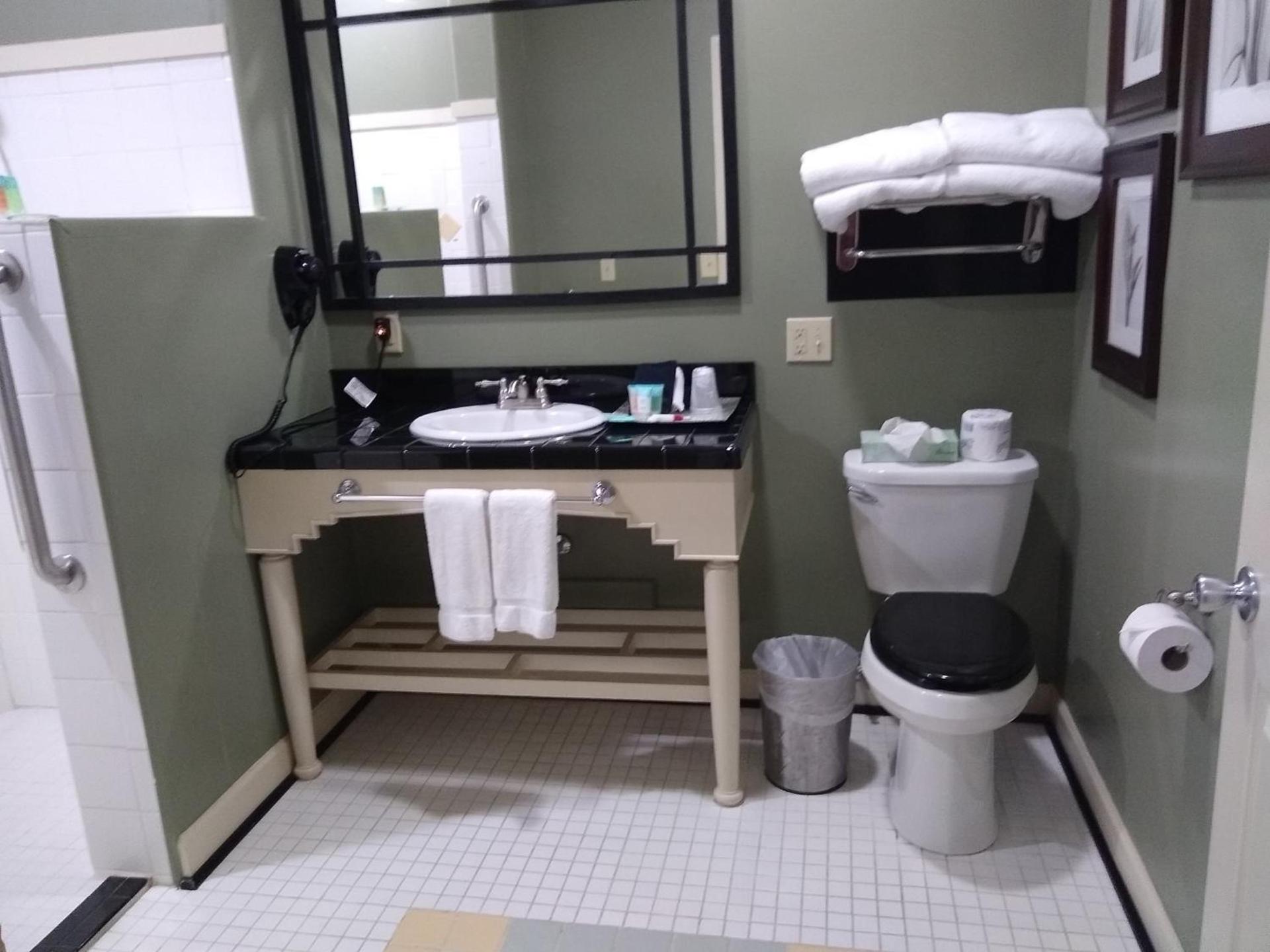 Southern Comfort Suites photo 8