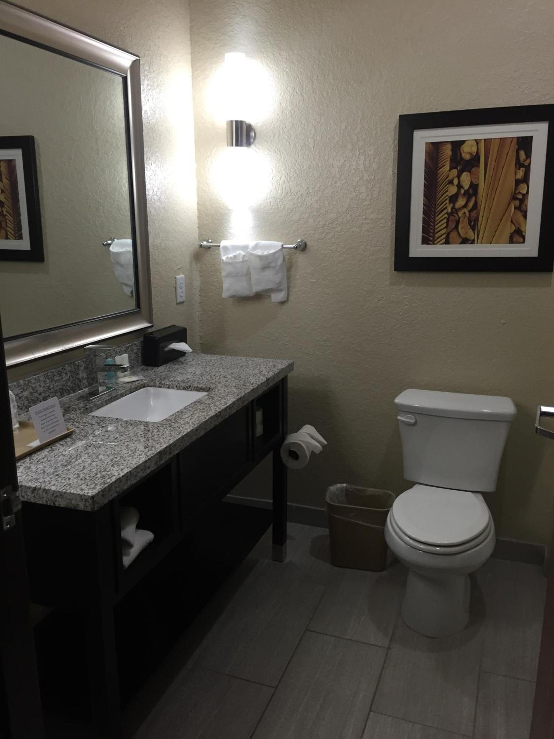 Comfort Inn & Suites Fort Worth West I-30 NAS JRB photo 28