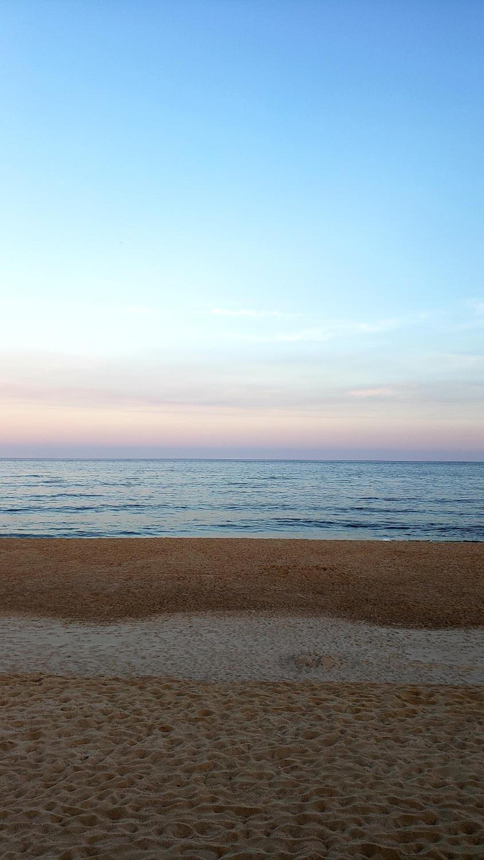 Marram photo 41