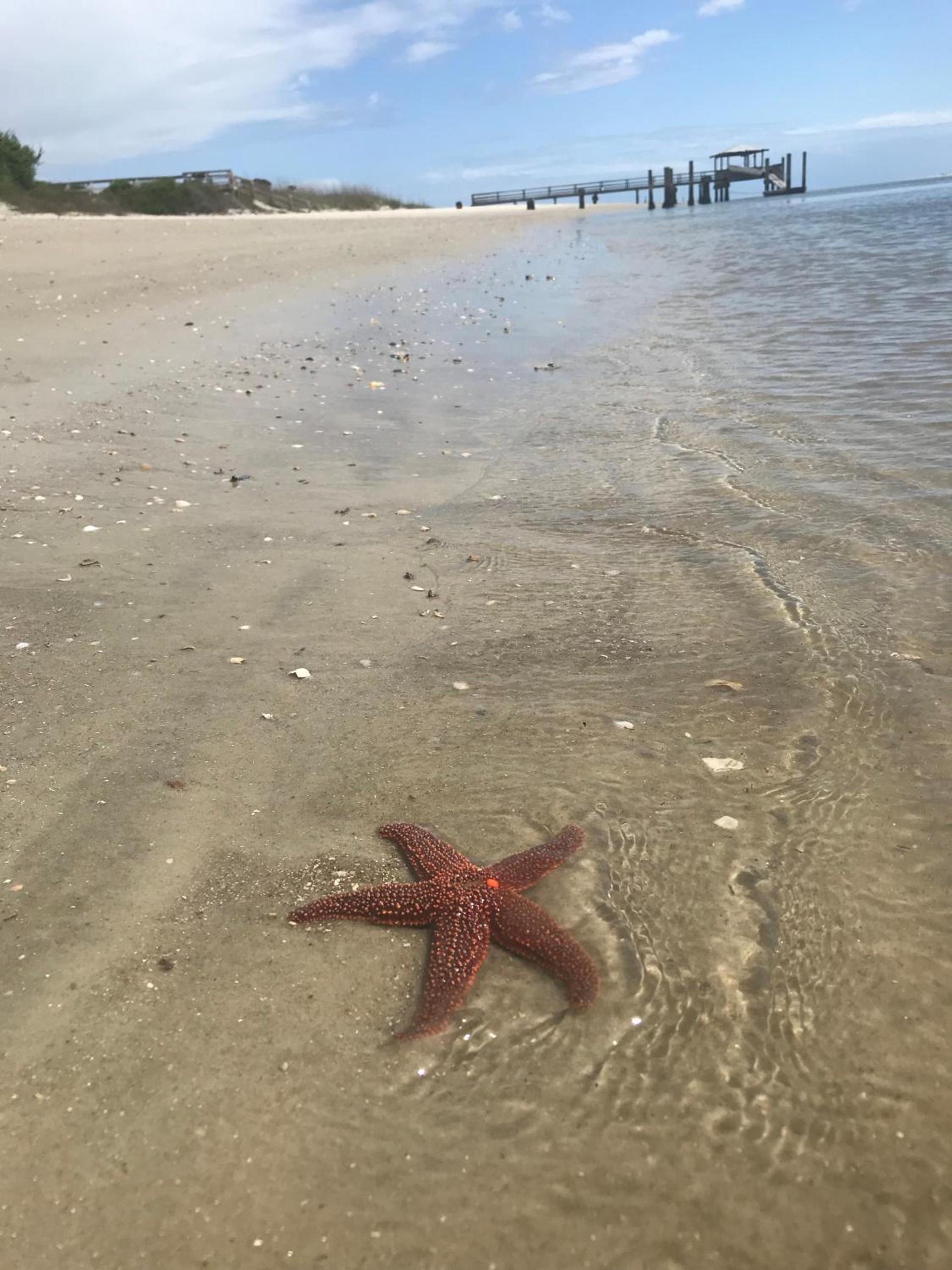 Hotel Tybee photo 8