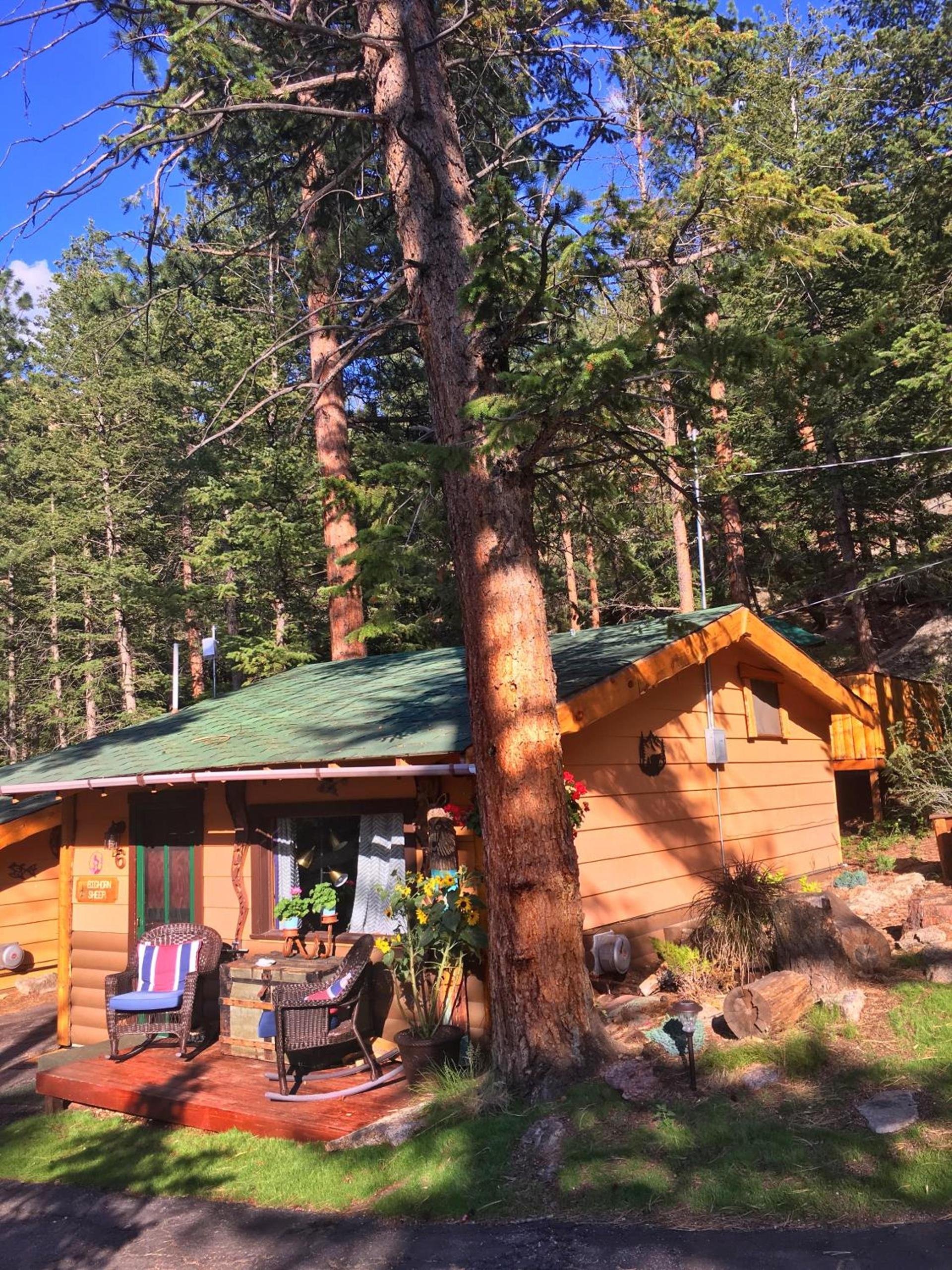 Pine Haven Resort photo 41