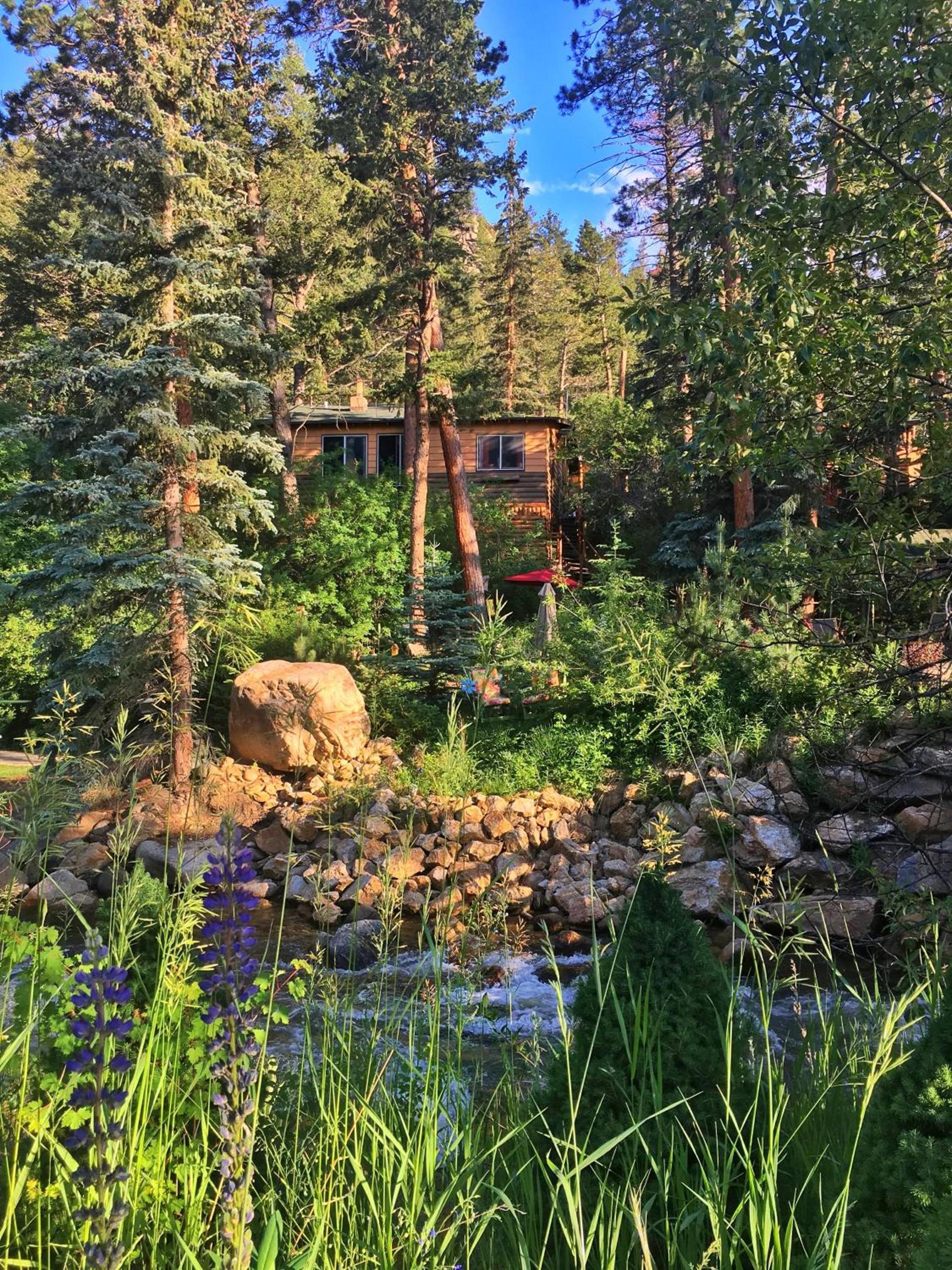 Pine Haven Resort photo 37