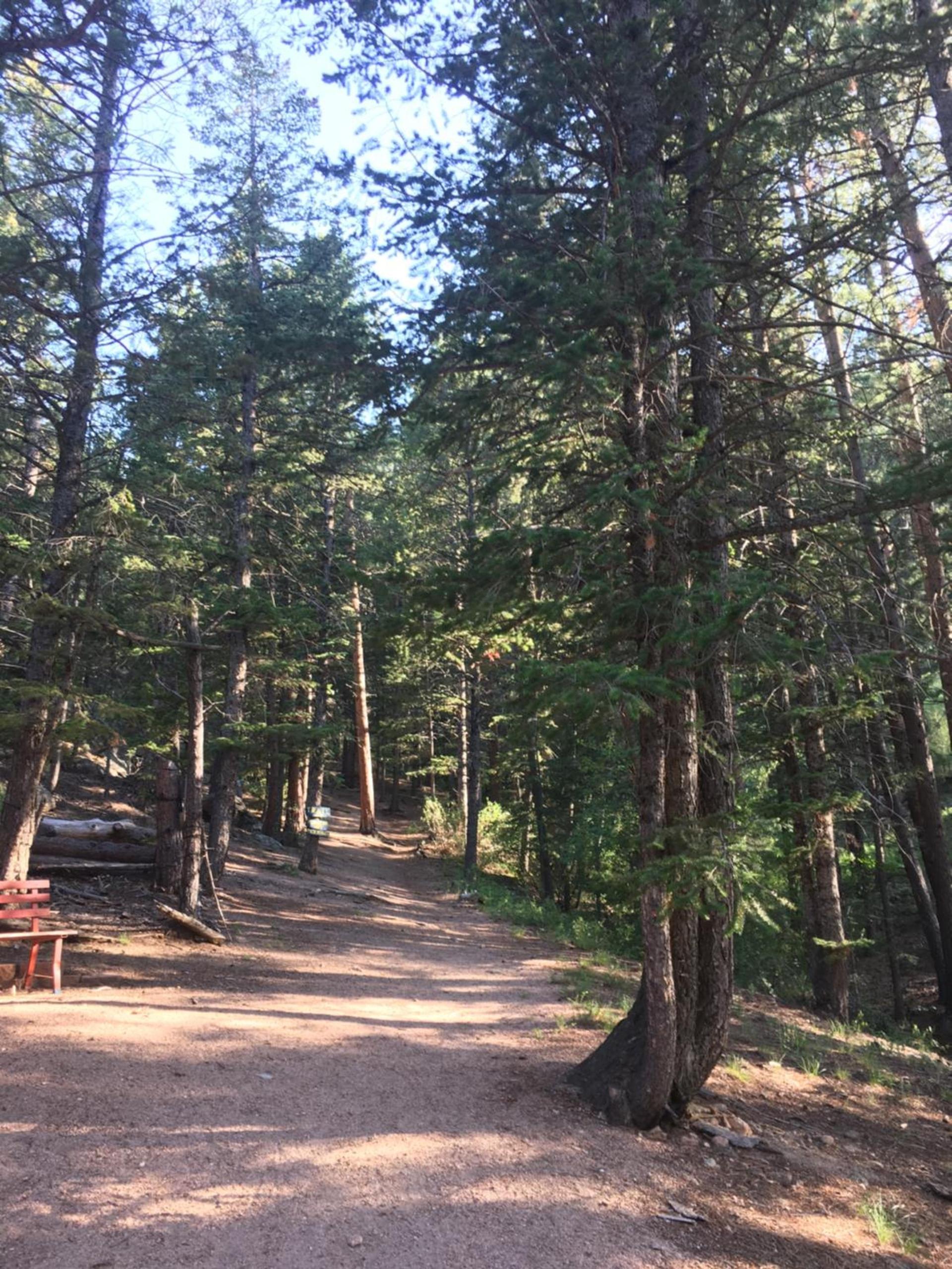 Pine Haven Resort photo 30