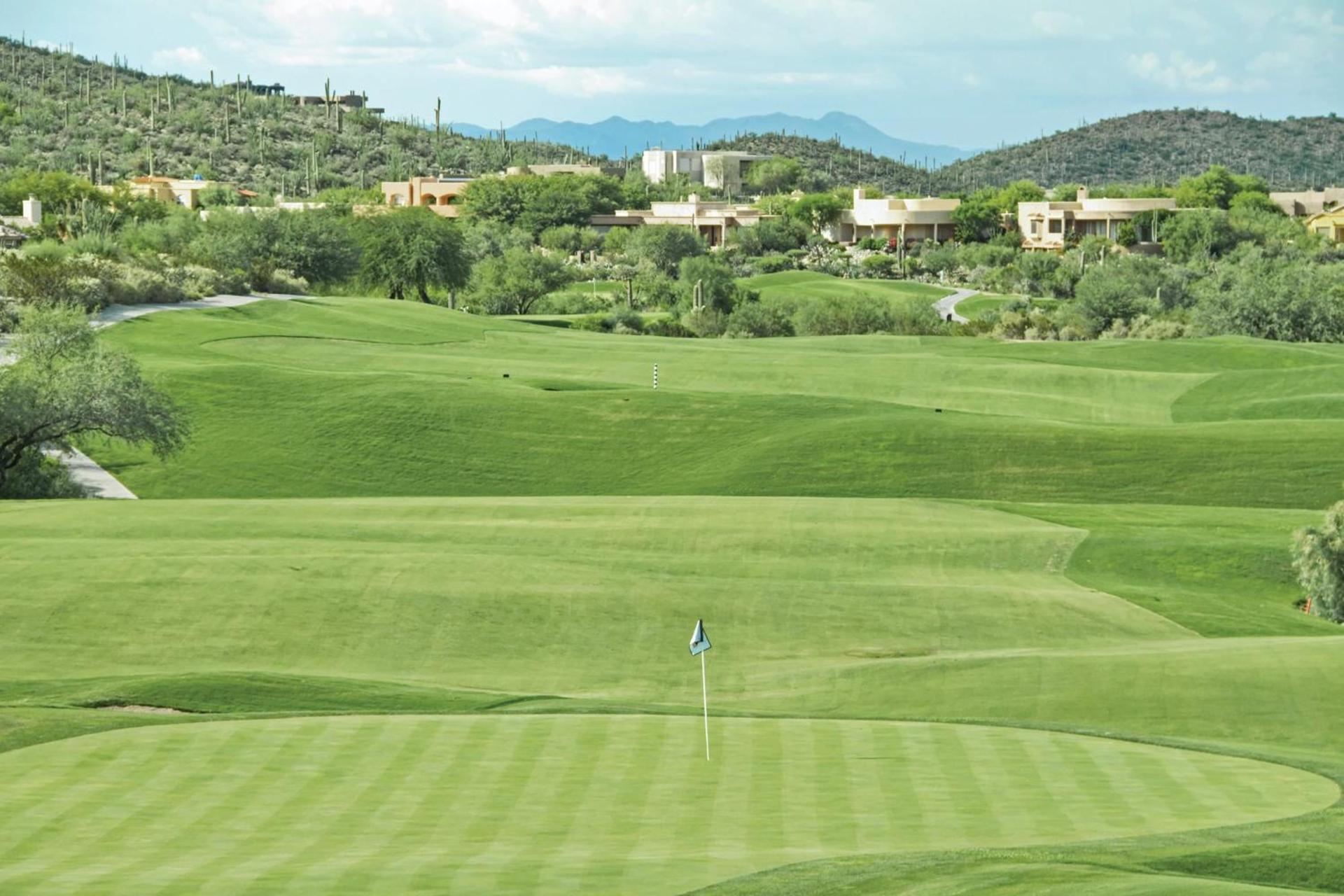 Starr Pass Golf Suites photo 57