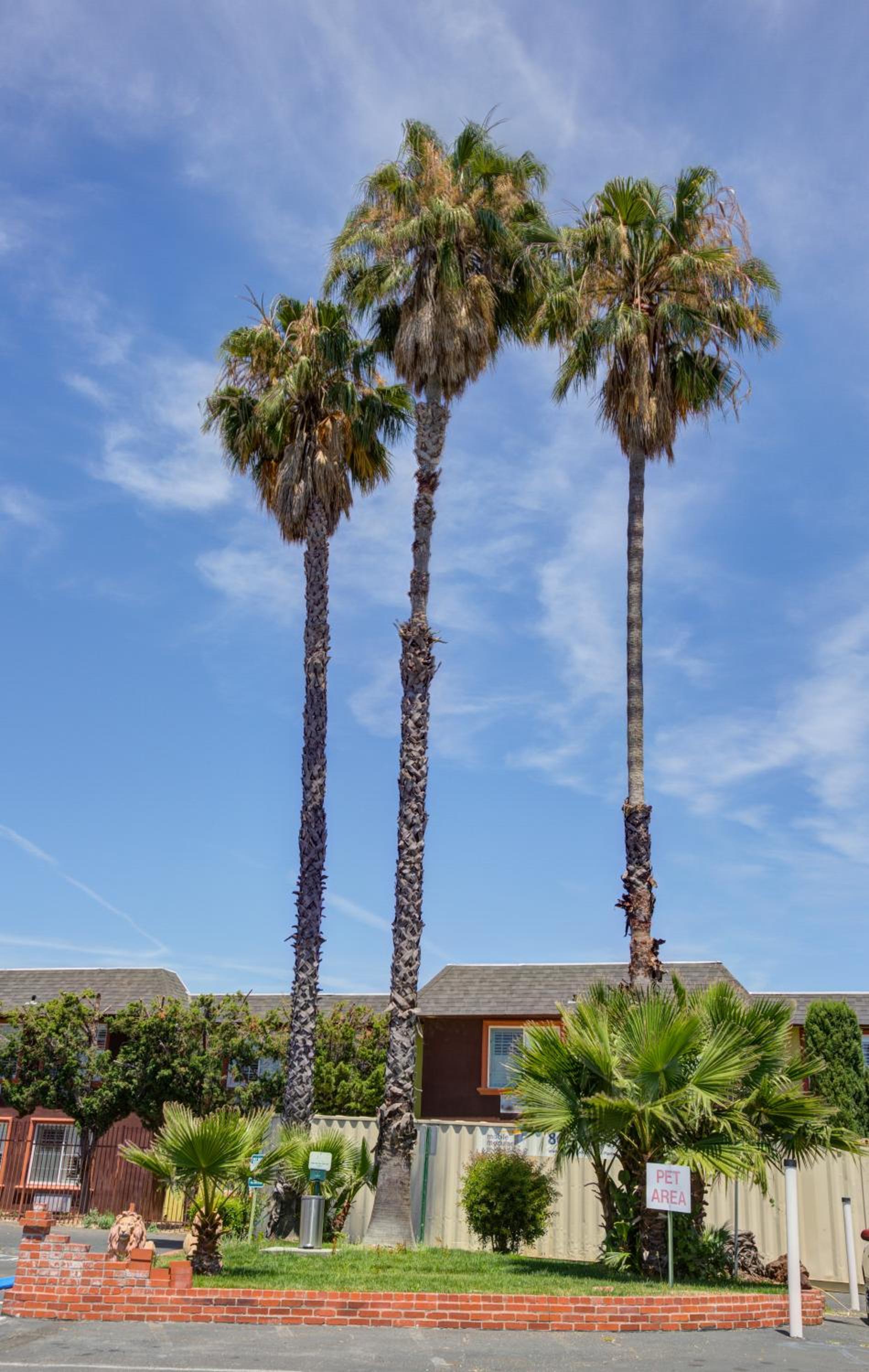 Best Western Sandman Hotel photo 26
