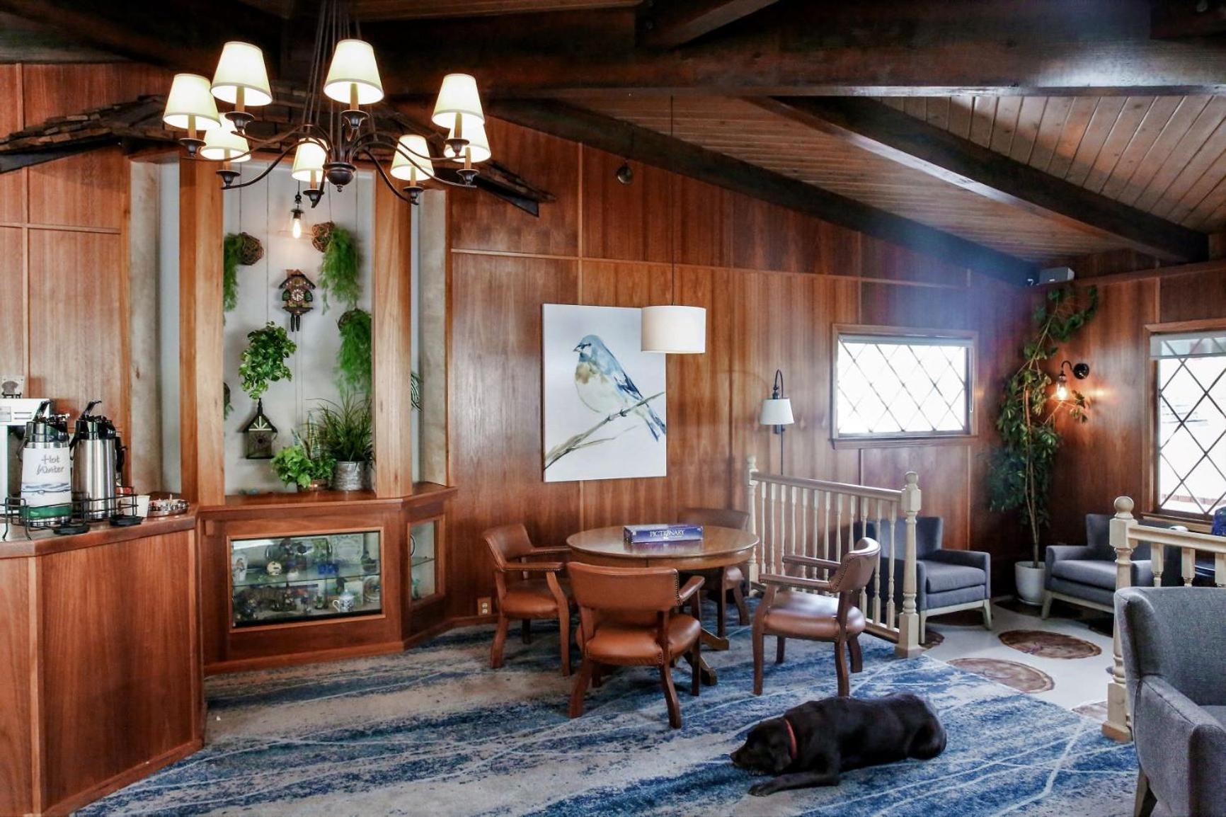 Bluebird Inn photo 40
