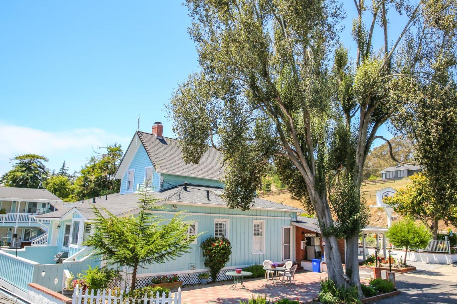 Bluebird Inn photo 2