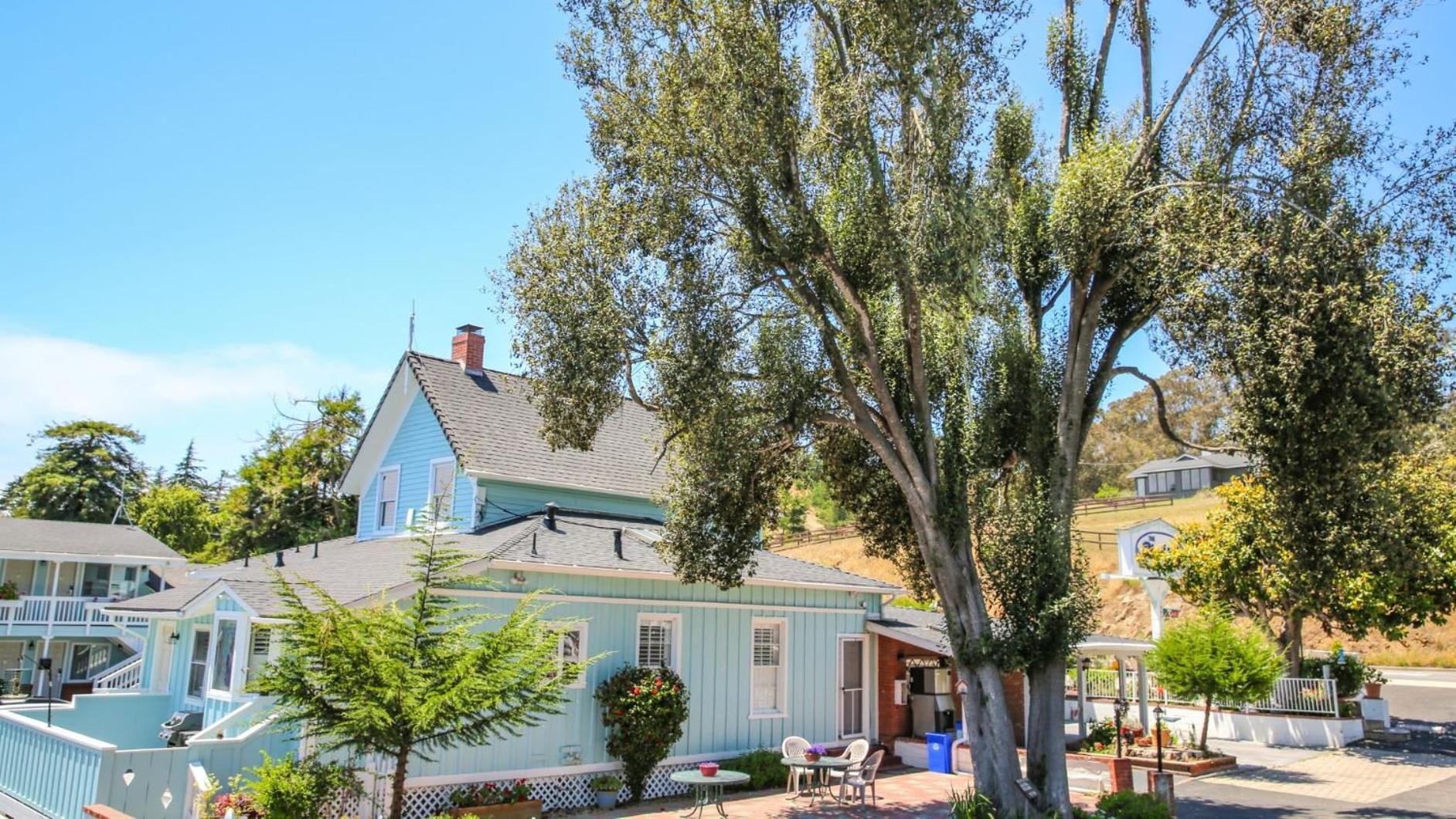 Bluebird Inn photo 11