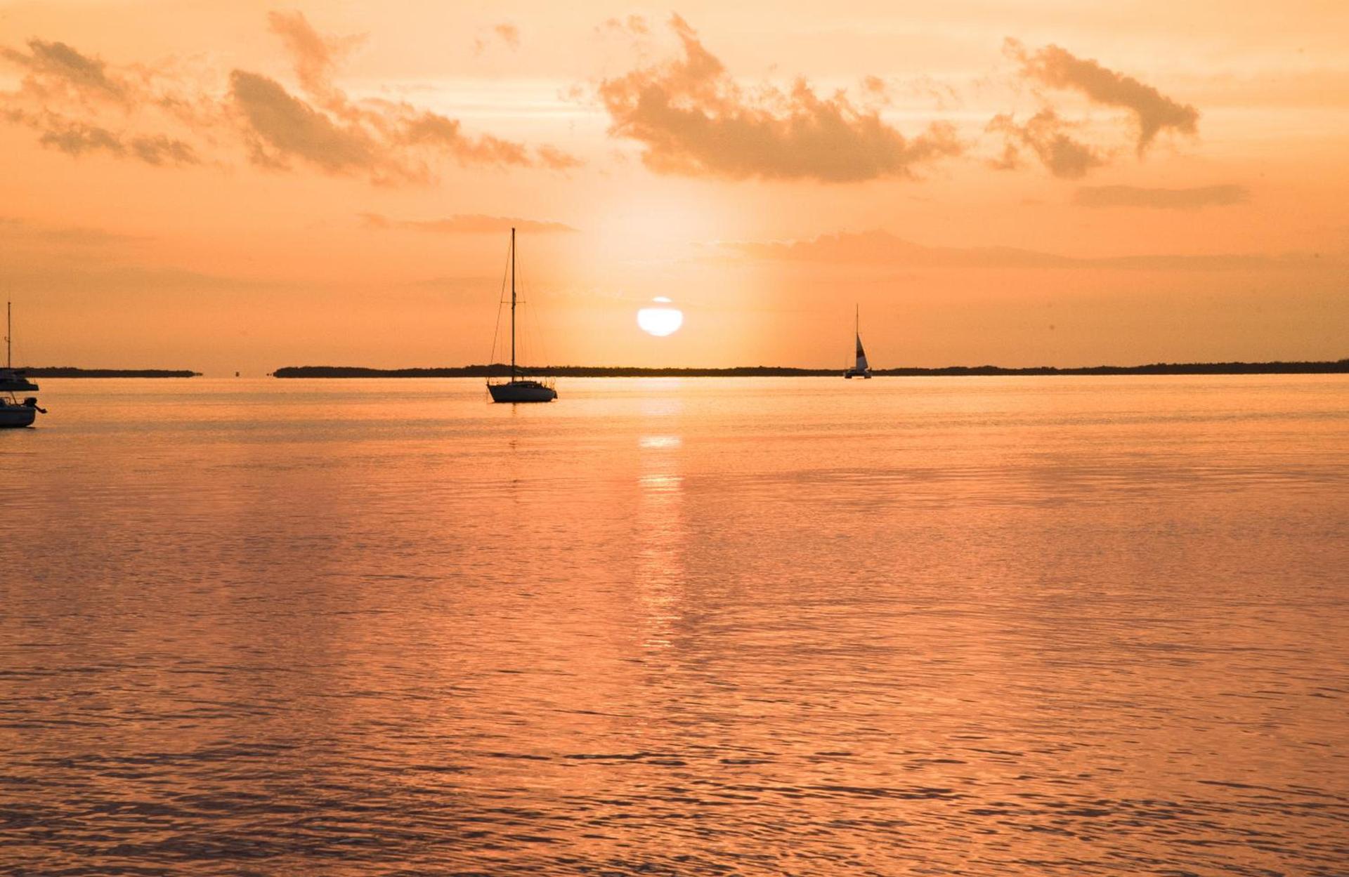 Bayside Inn Key Largo photo 82