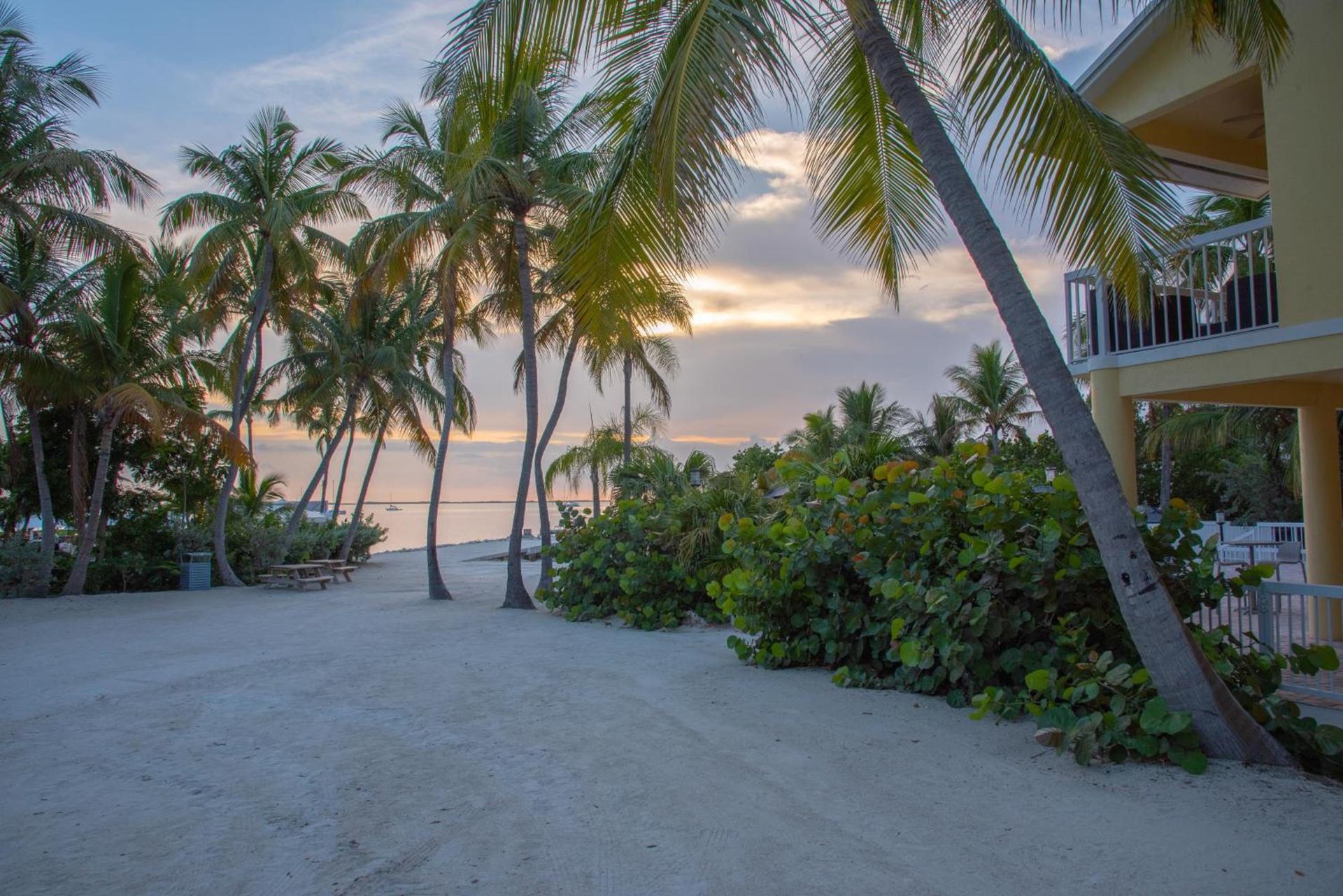 Bayside Inn Key Largo photo 38