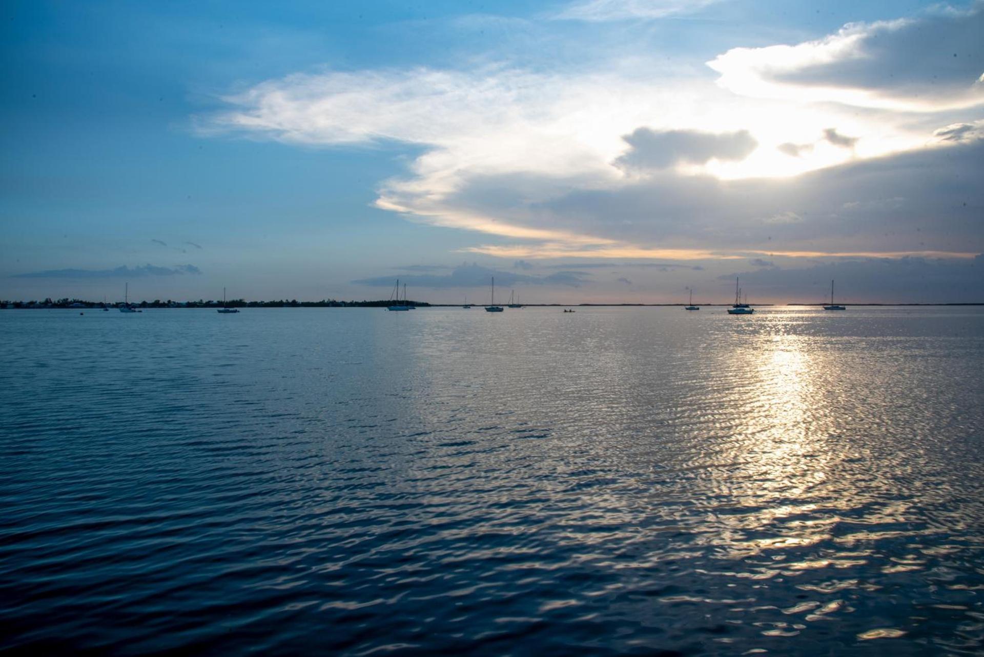 Bayside Inn Key Largo photo 88