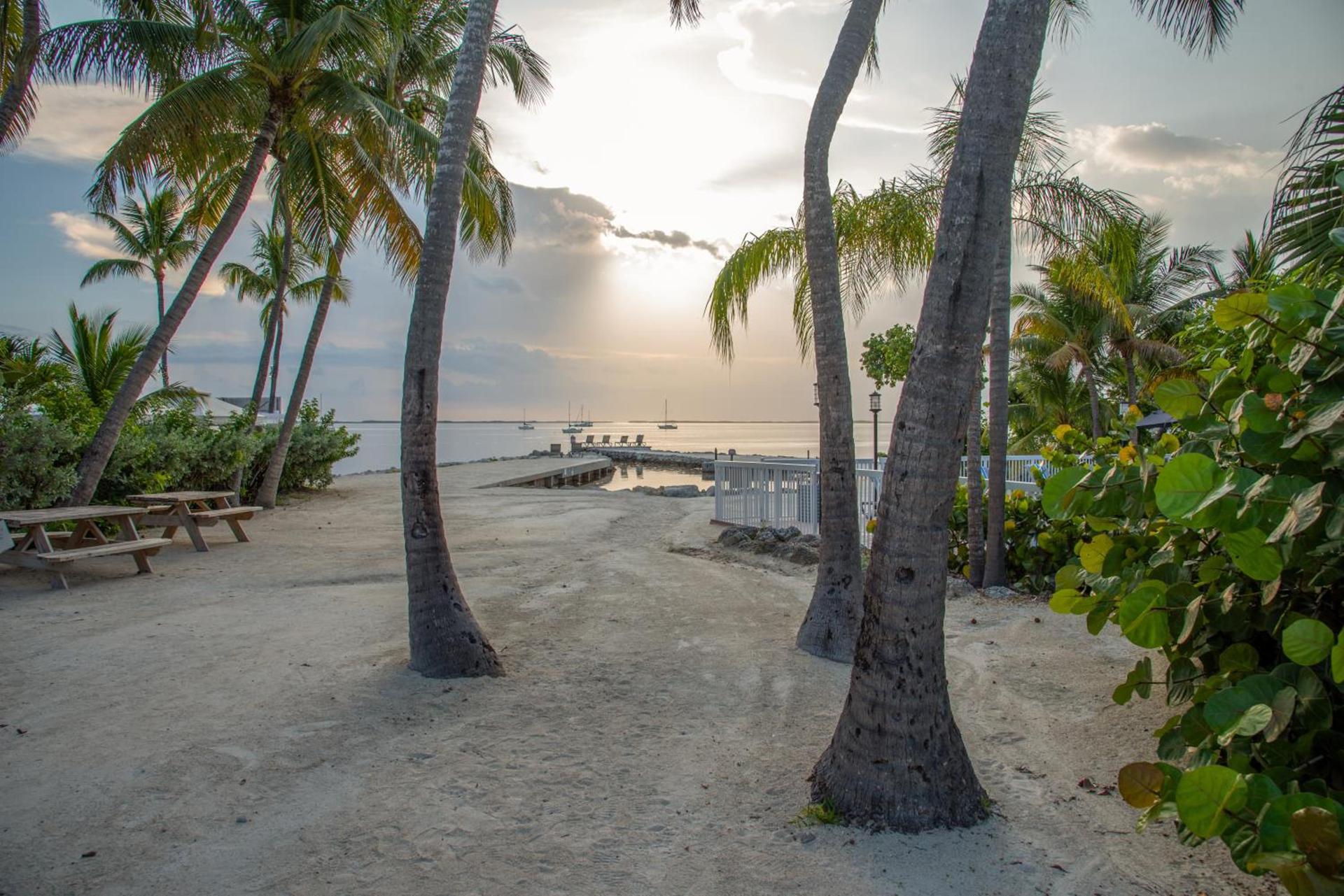 Bayside Inn Key Largo photo 86