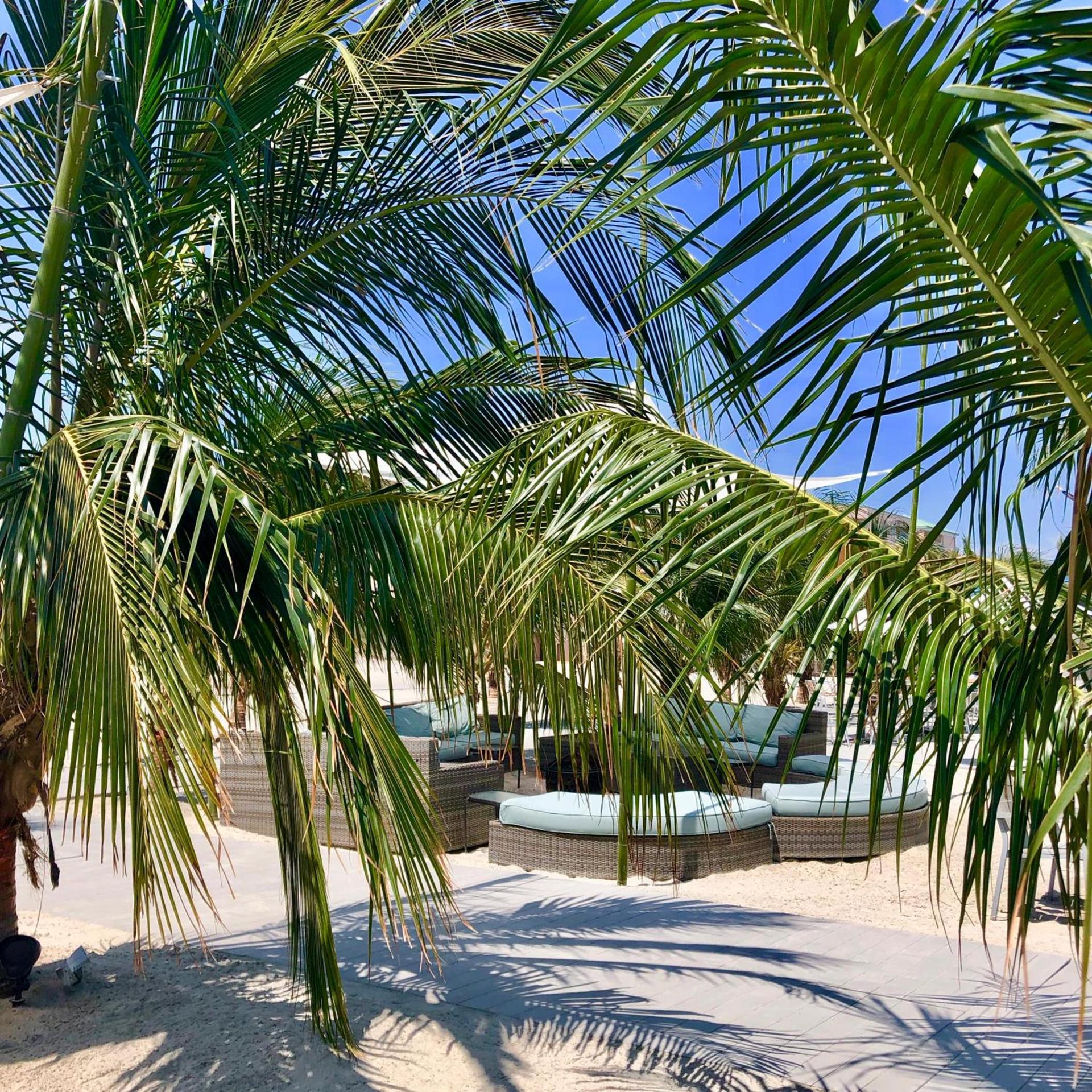 ICONA Diamond Beach photo 20