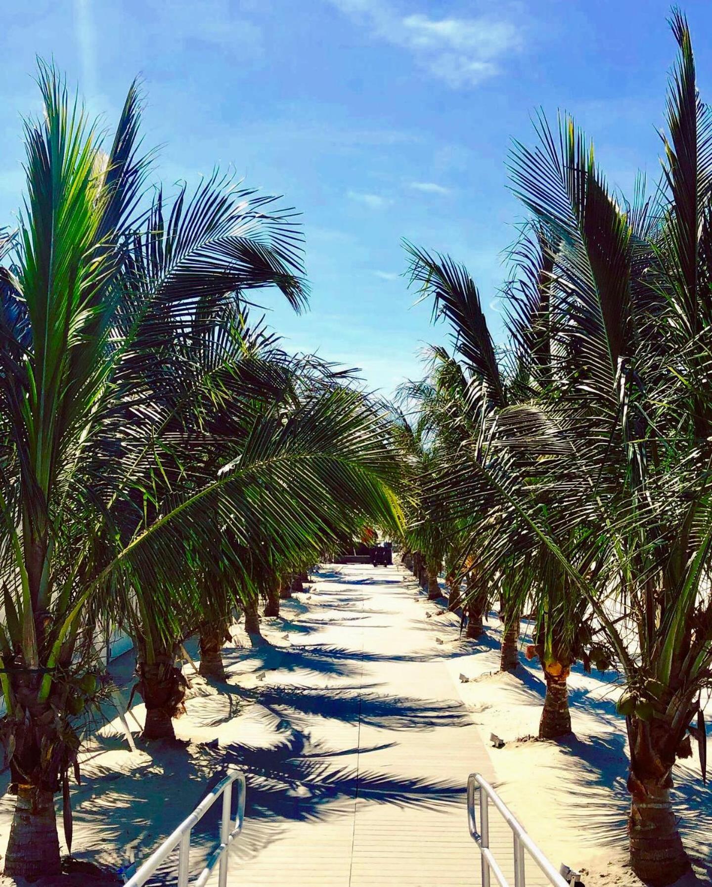 ICONA Diamond Beach photo 25