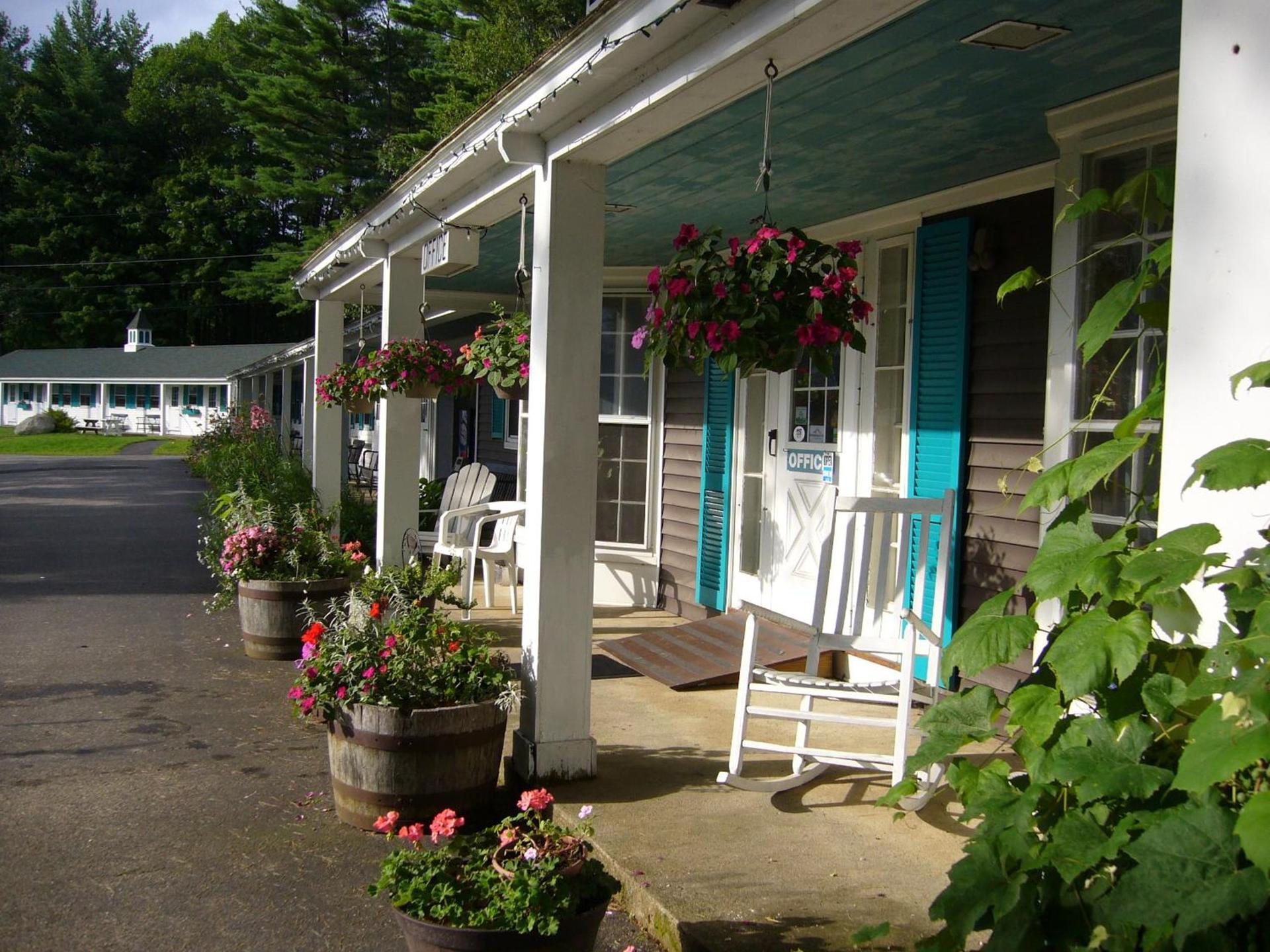 White Trellis Motel photo 7