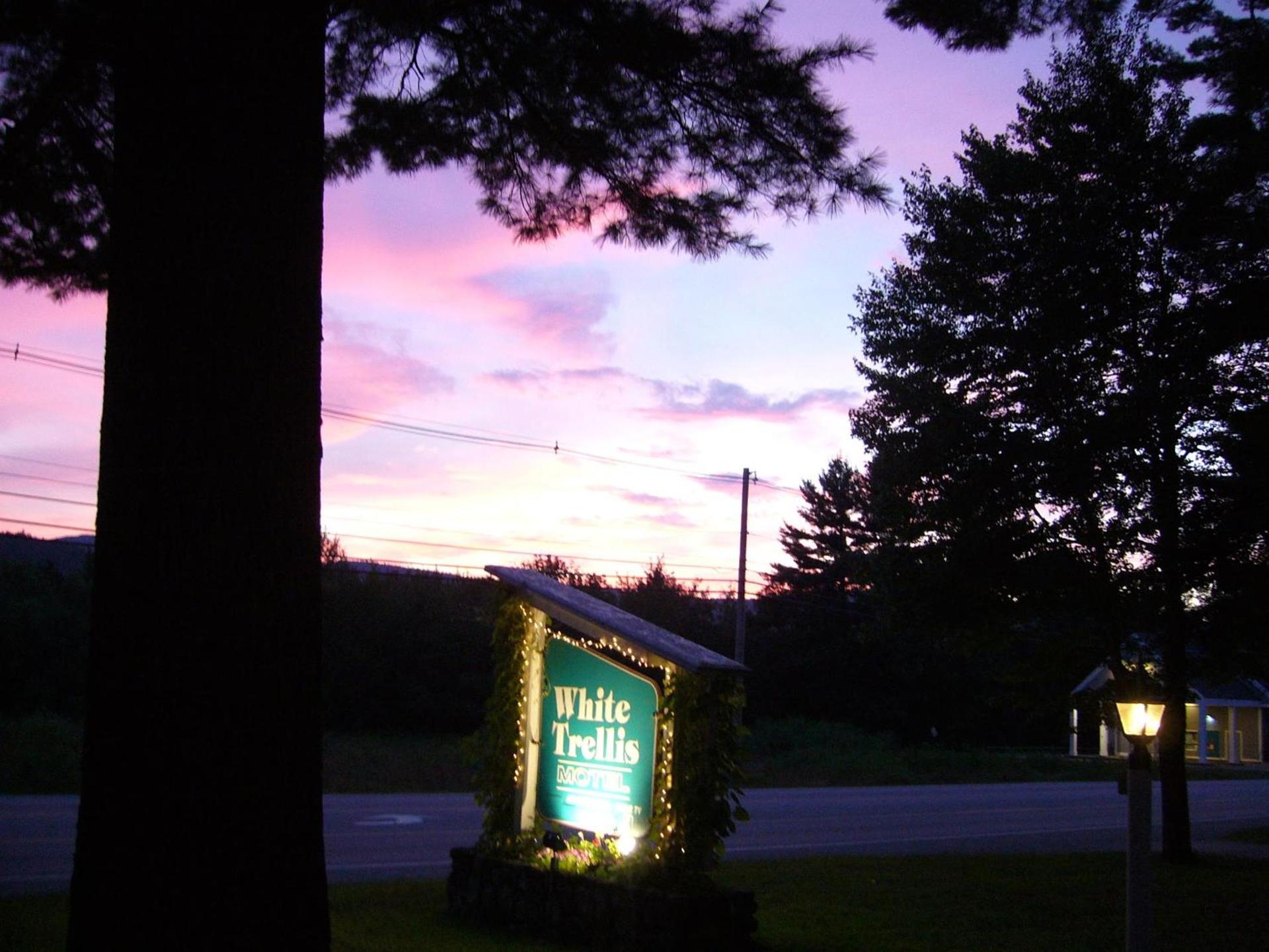 White Trellis Motel photo 10